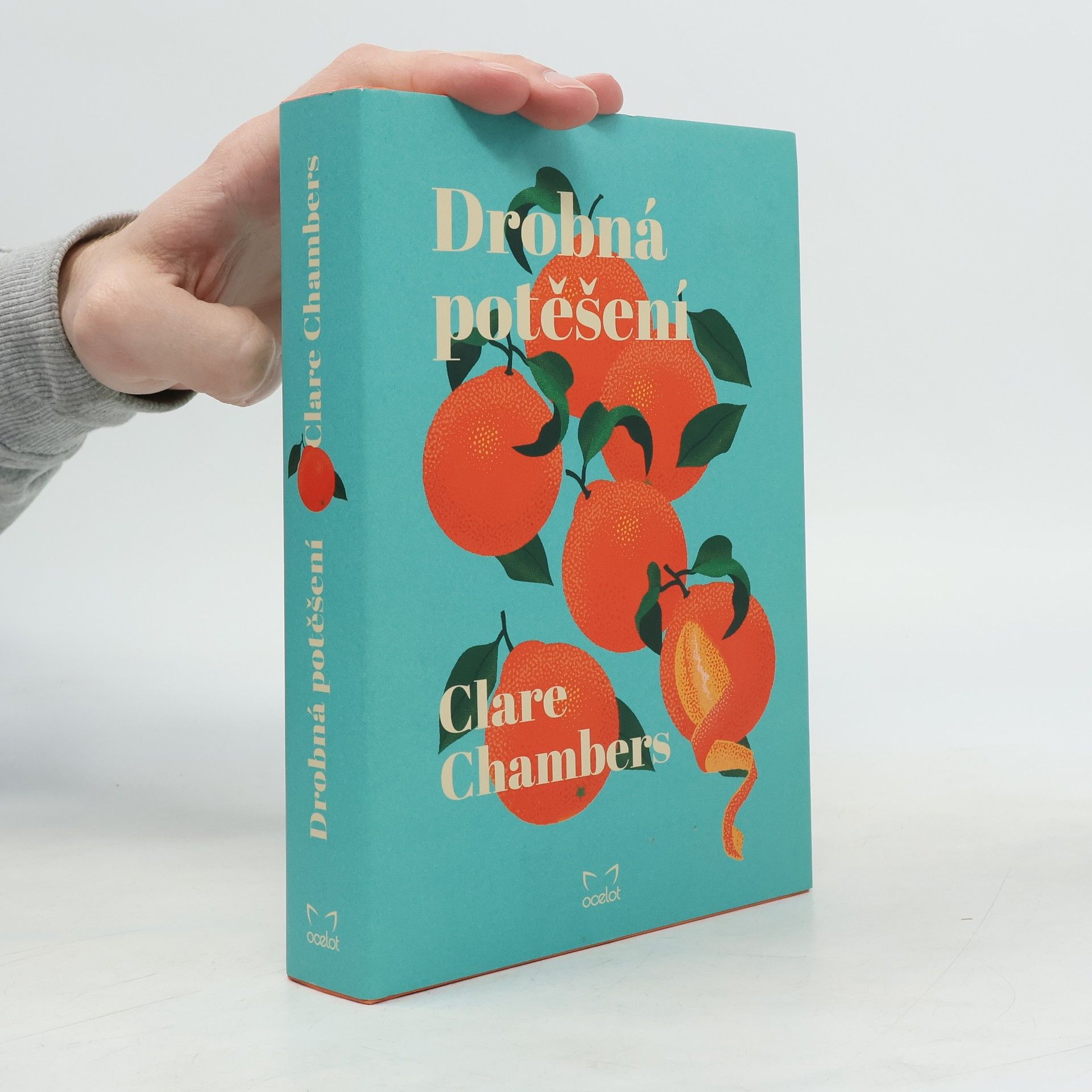 Clare Chambers Drobná potěšení
