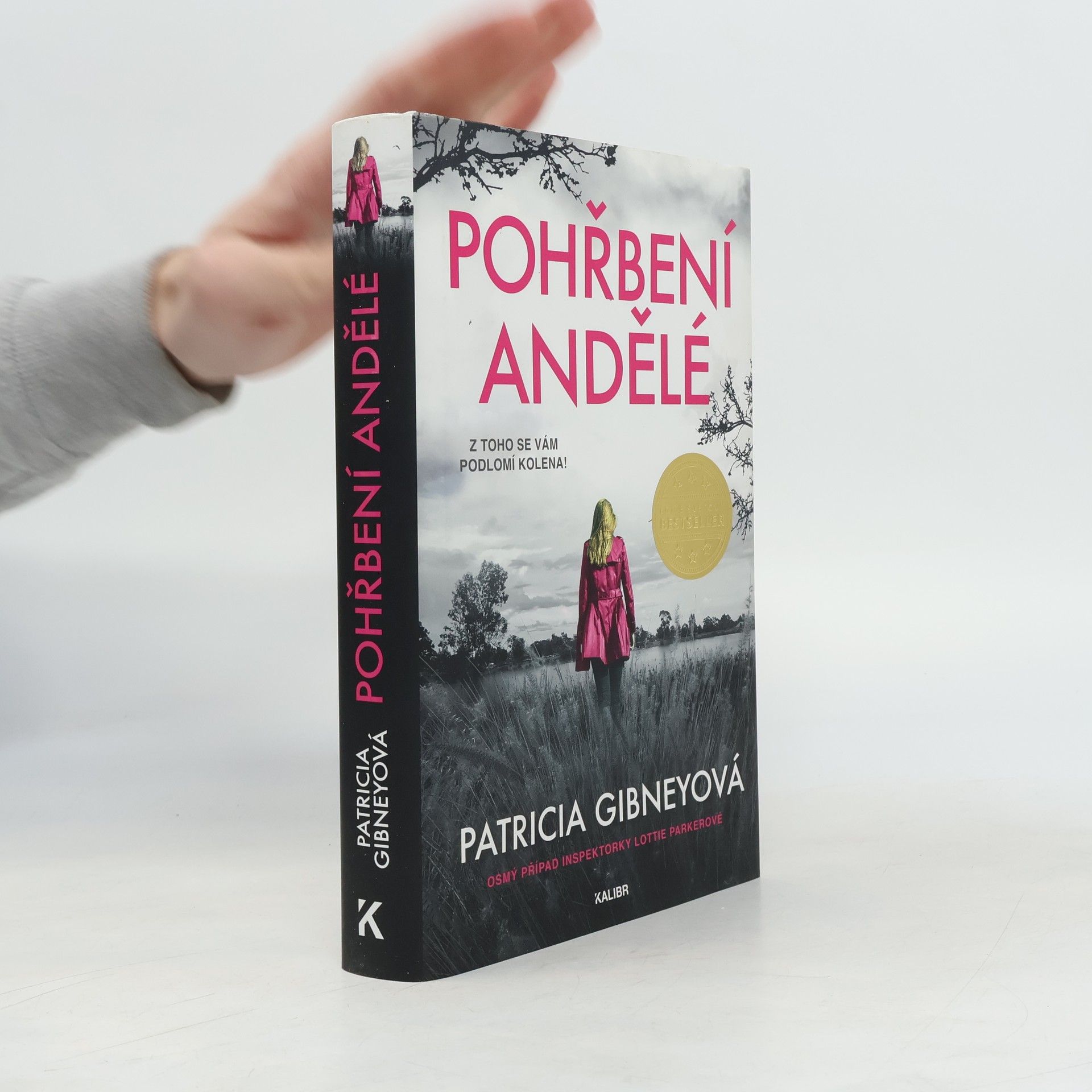 Drahomíra Michnová Pohřbení andělé