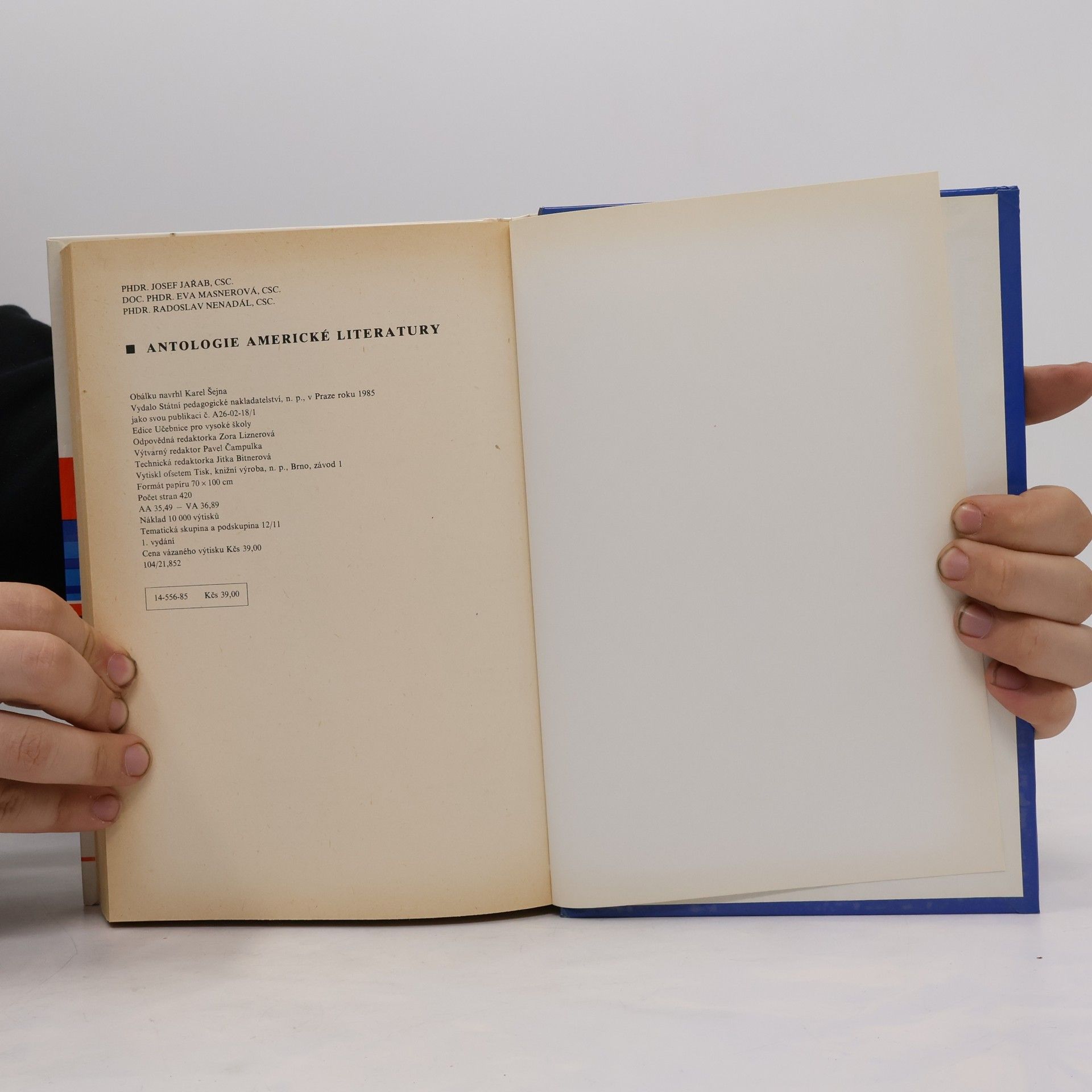 kolektiv Antologie anglické literatury