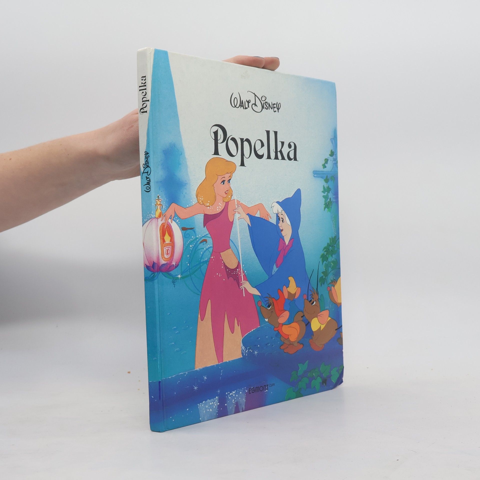 Kolektiv autorů Popelka