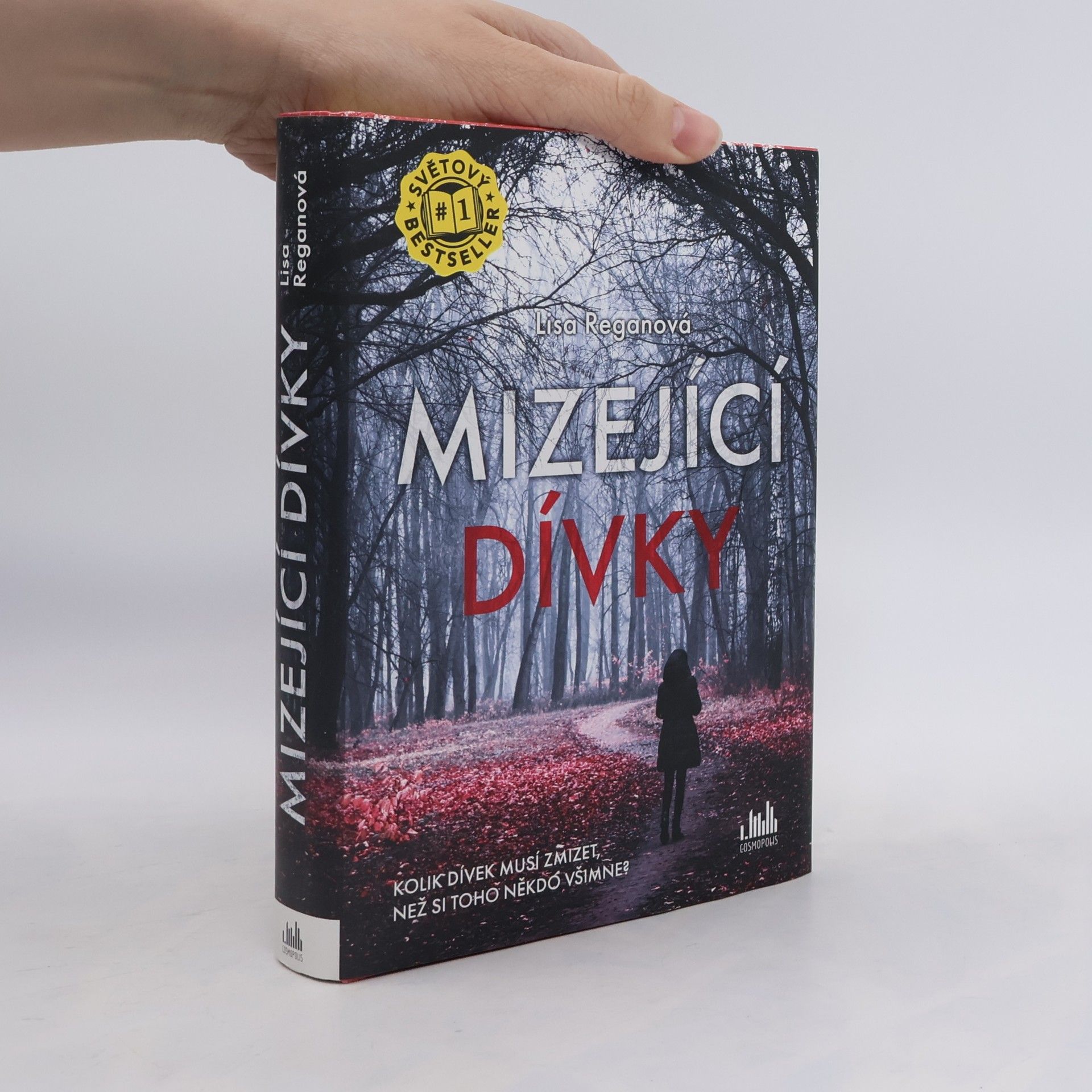 Lisa Regan Mizející dívky