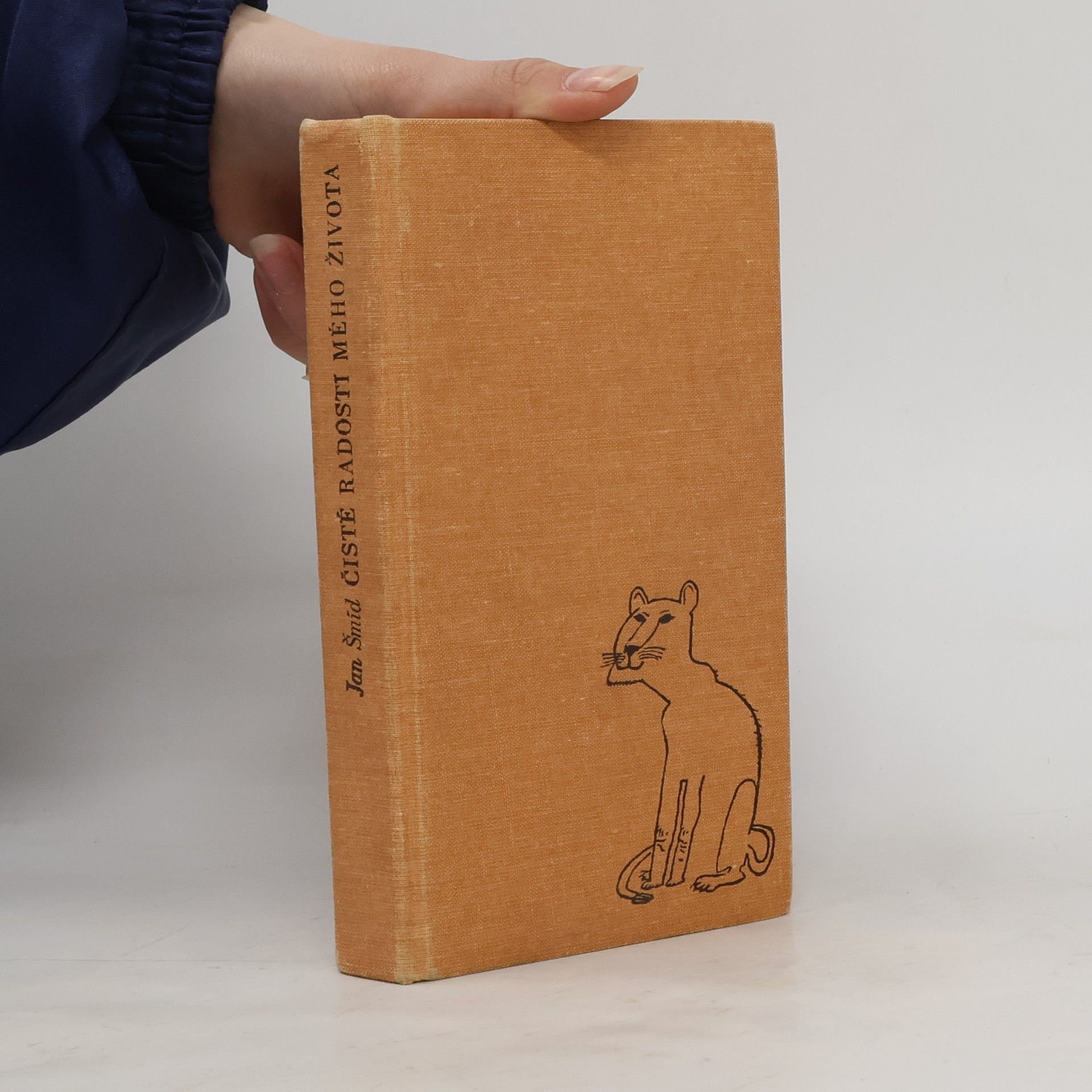 Čisté radosti mého života