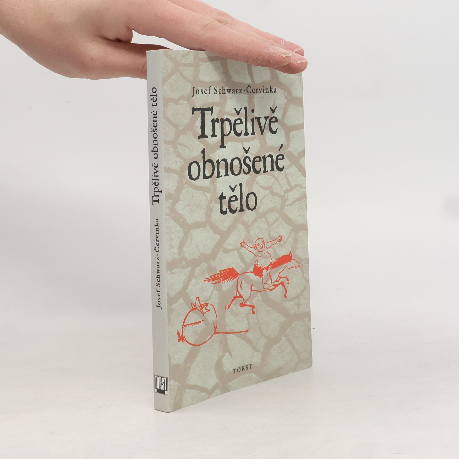 Trpělivě obnošené tělo