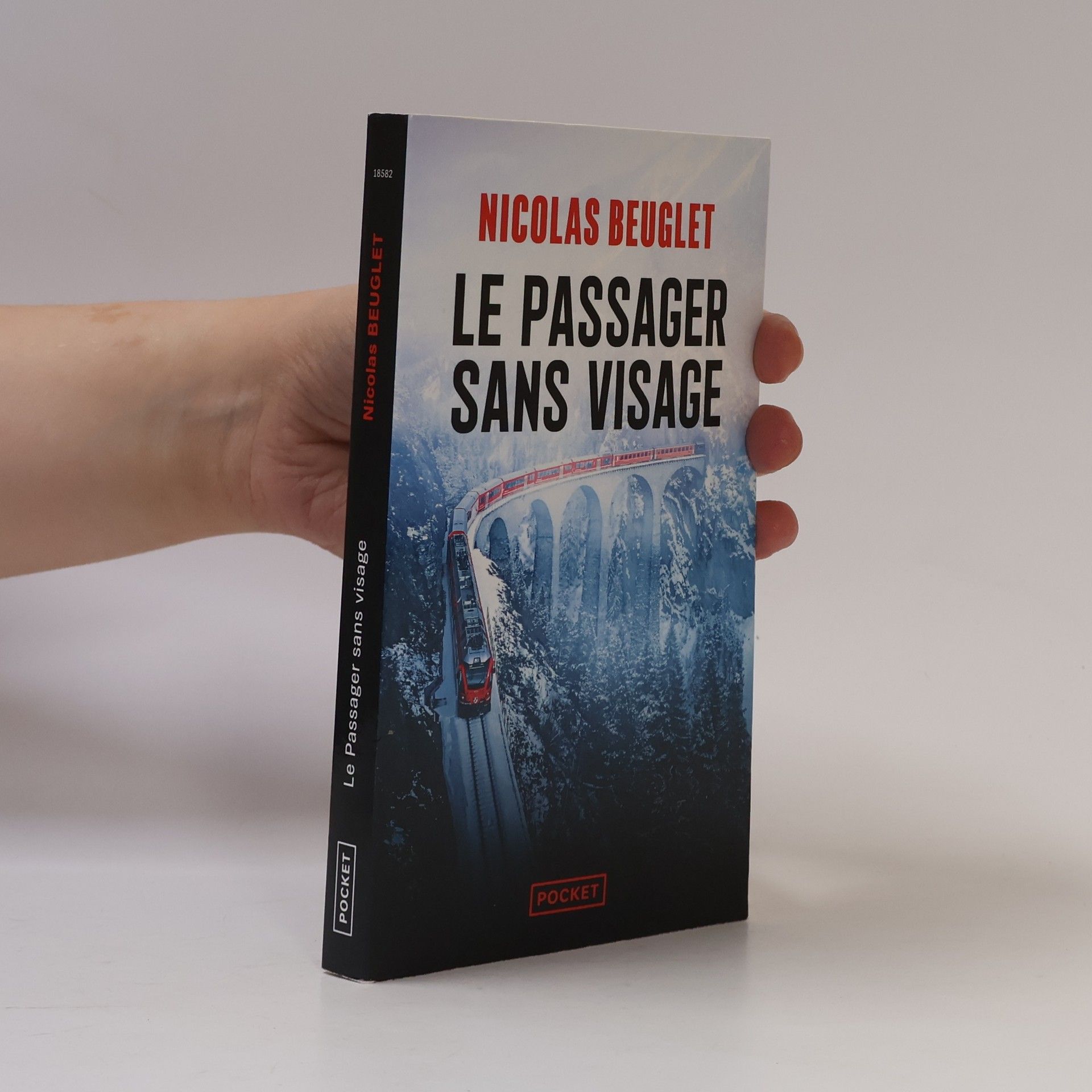 Nicolas Beuglet Pocket: Le Passager sans visage