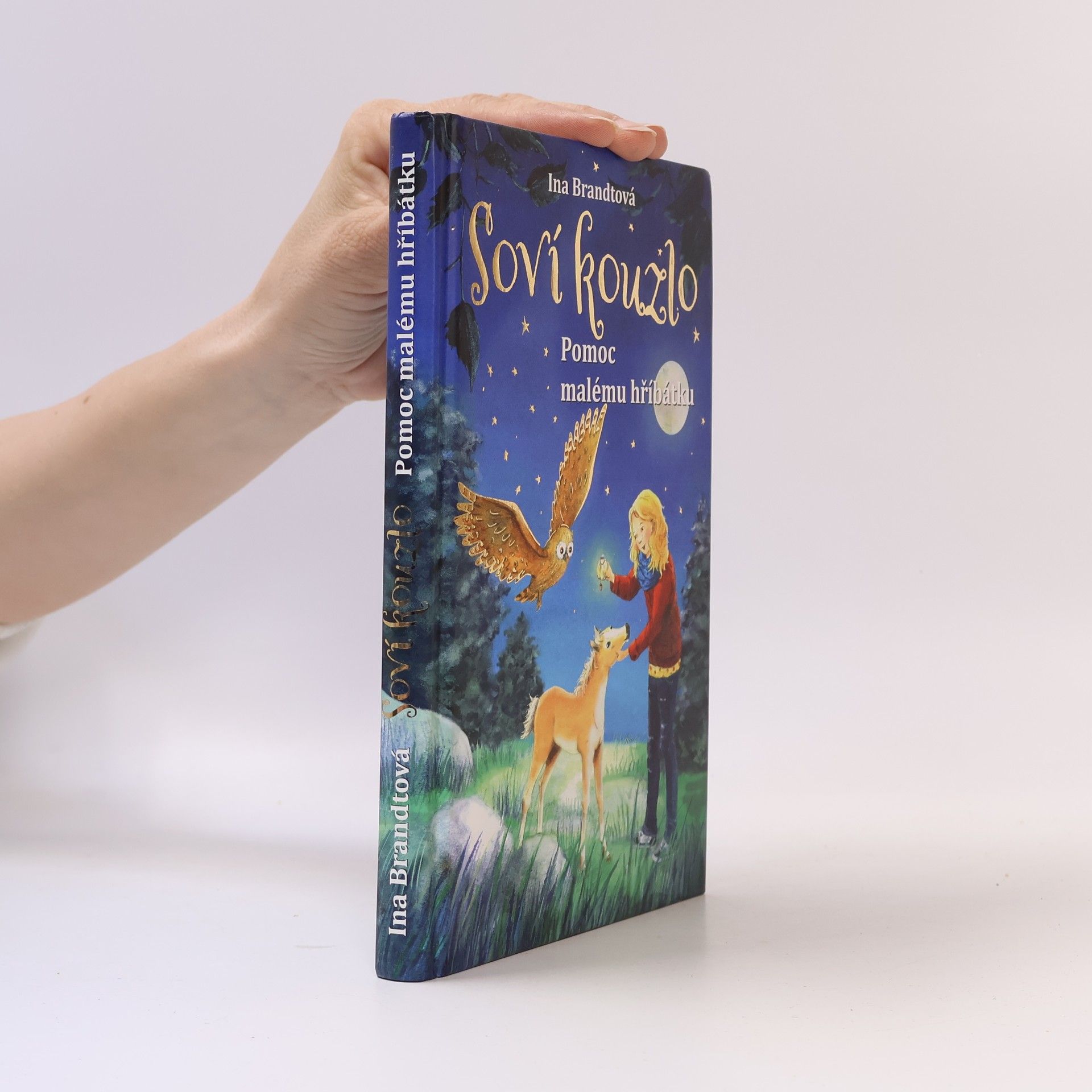 Irene Mohr Soví kouzlo. Pomoc malému hříbátku