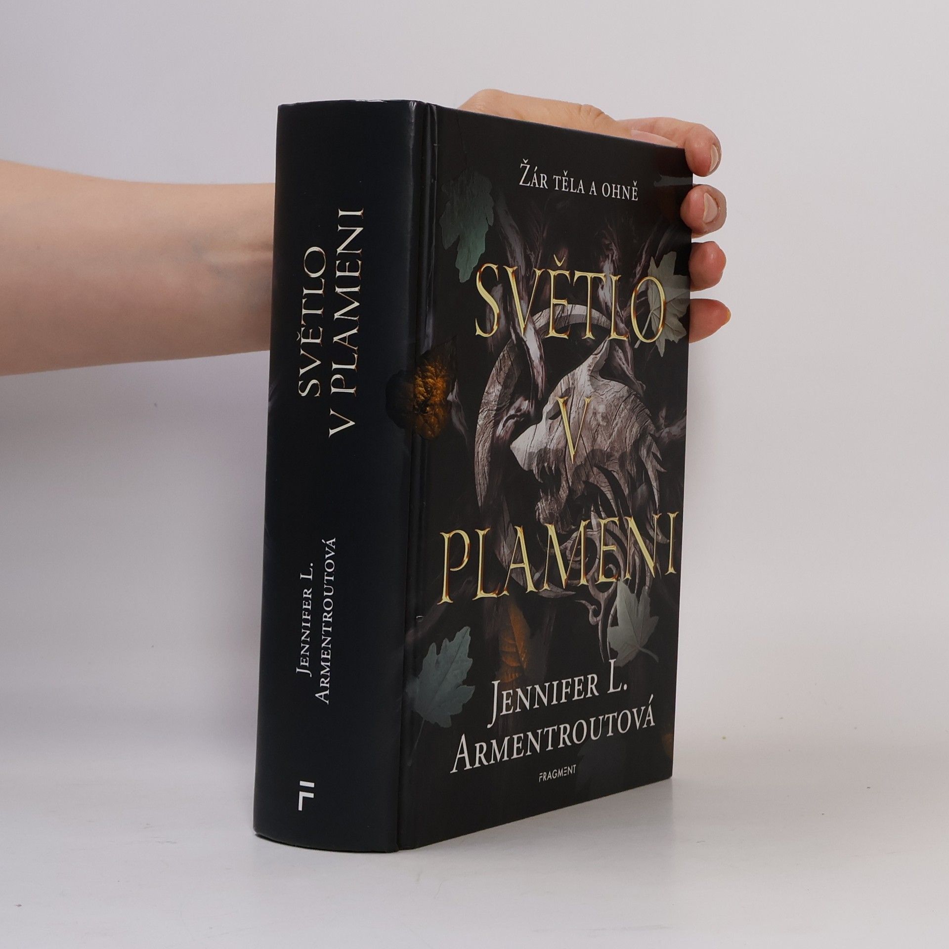 Jennifer Armentrout Světlo v plameni