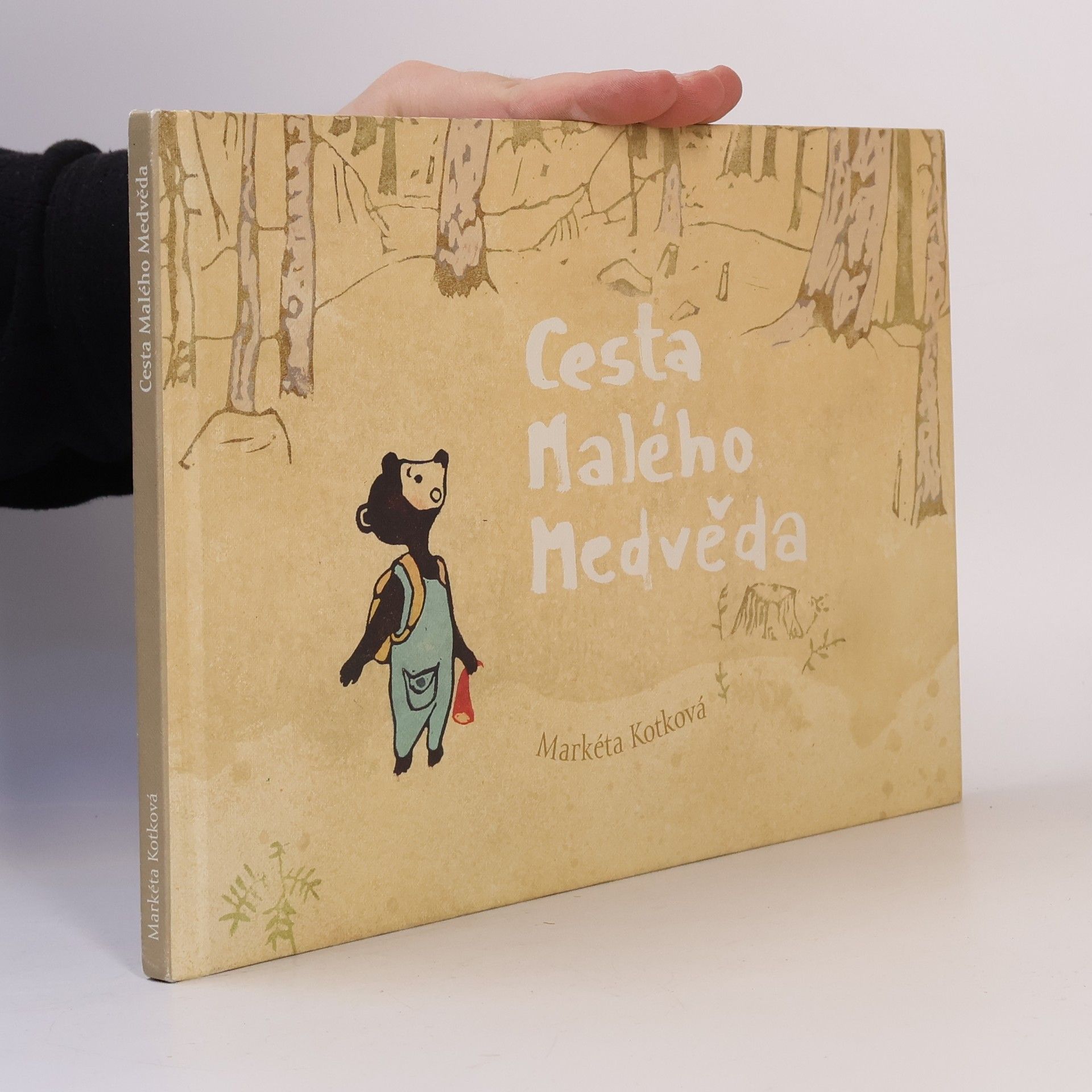 Cesta Malého Medvěda