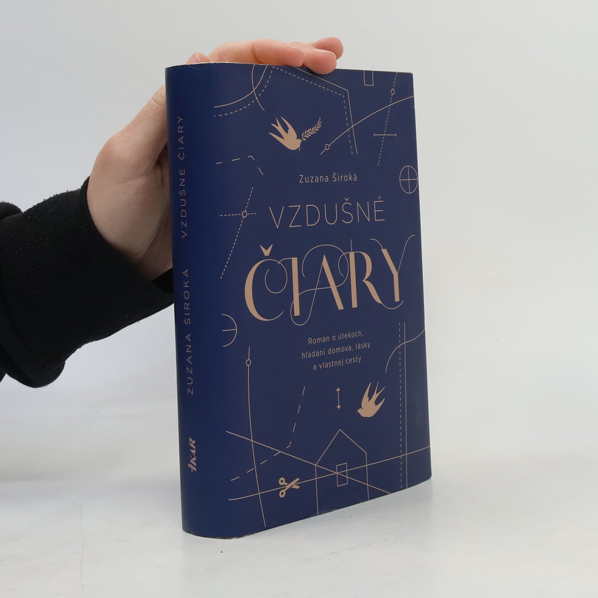 Zuzana Široká Vzdušné čiary