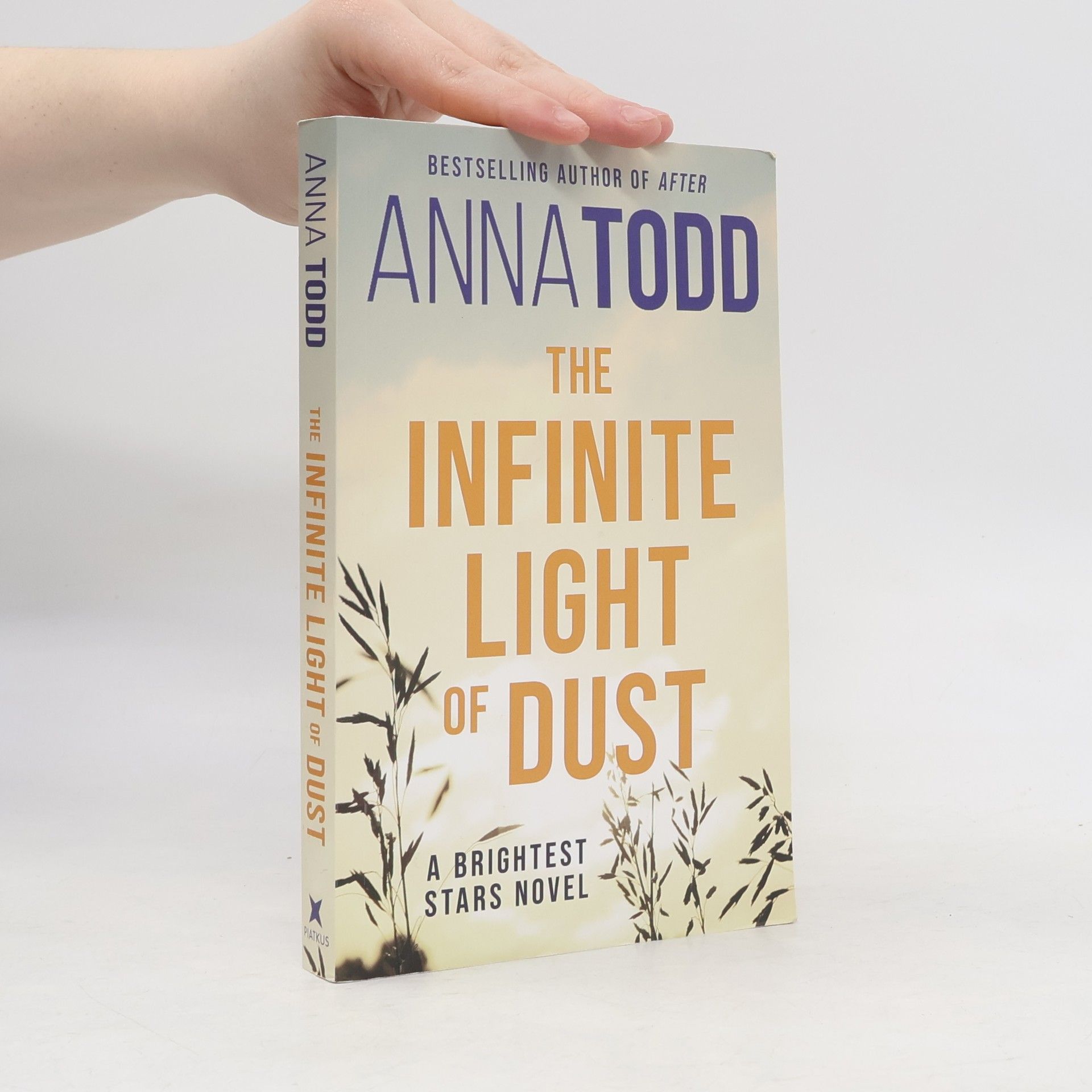 The Infinite Light of Dust