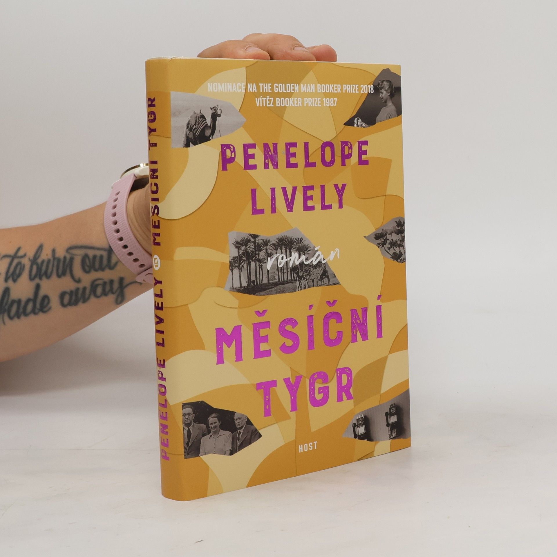 Penelope Lively Měsíční tygr