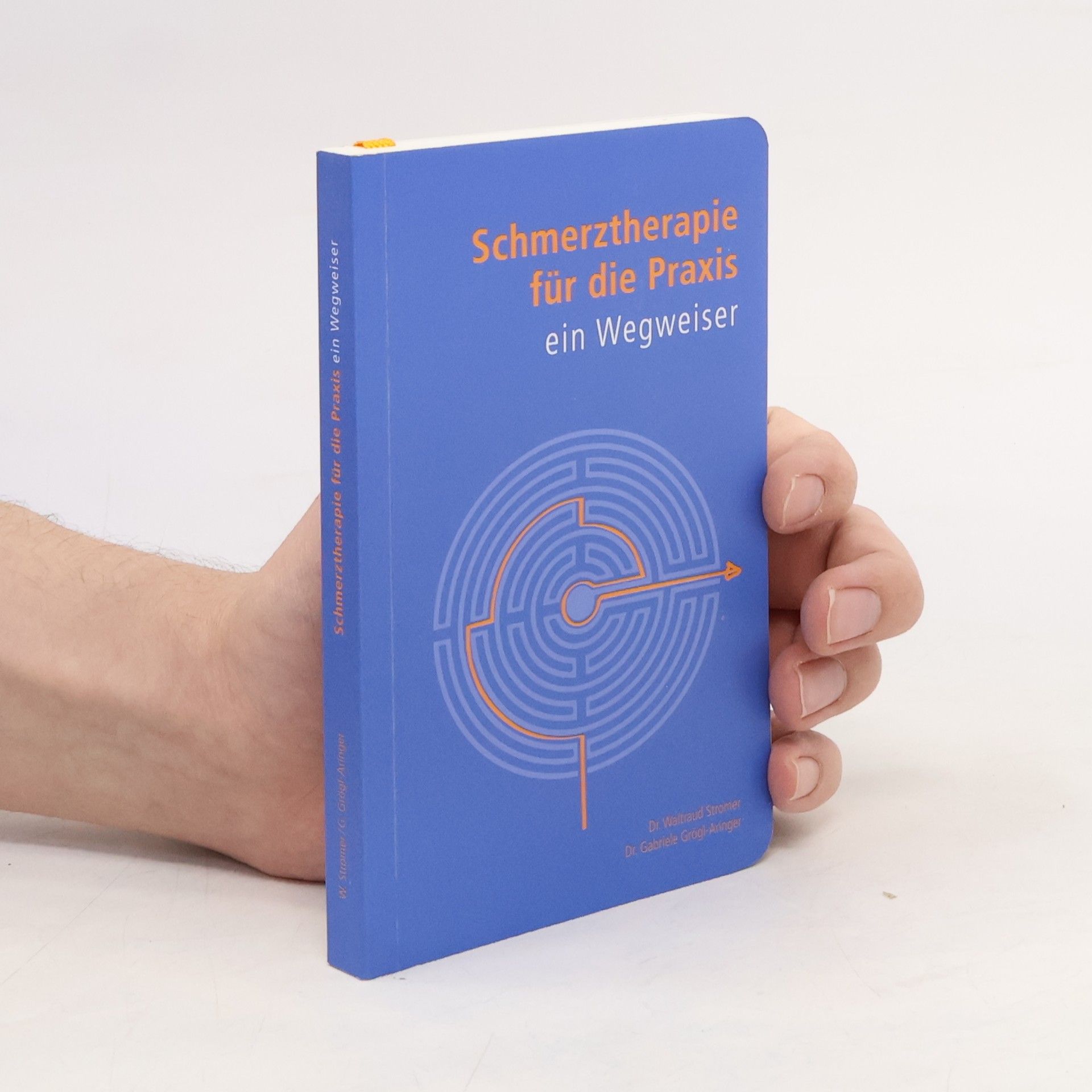 Waltraud Stromer Schmerztherapie für die Praxis. Ein Wegweiser