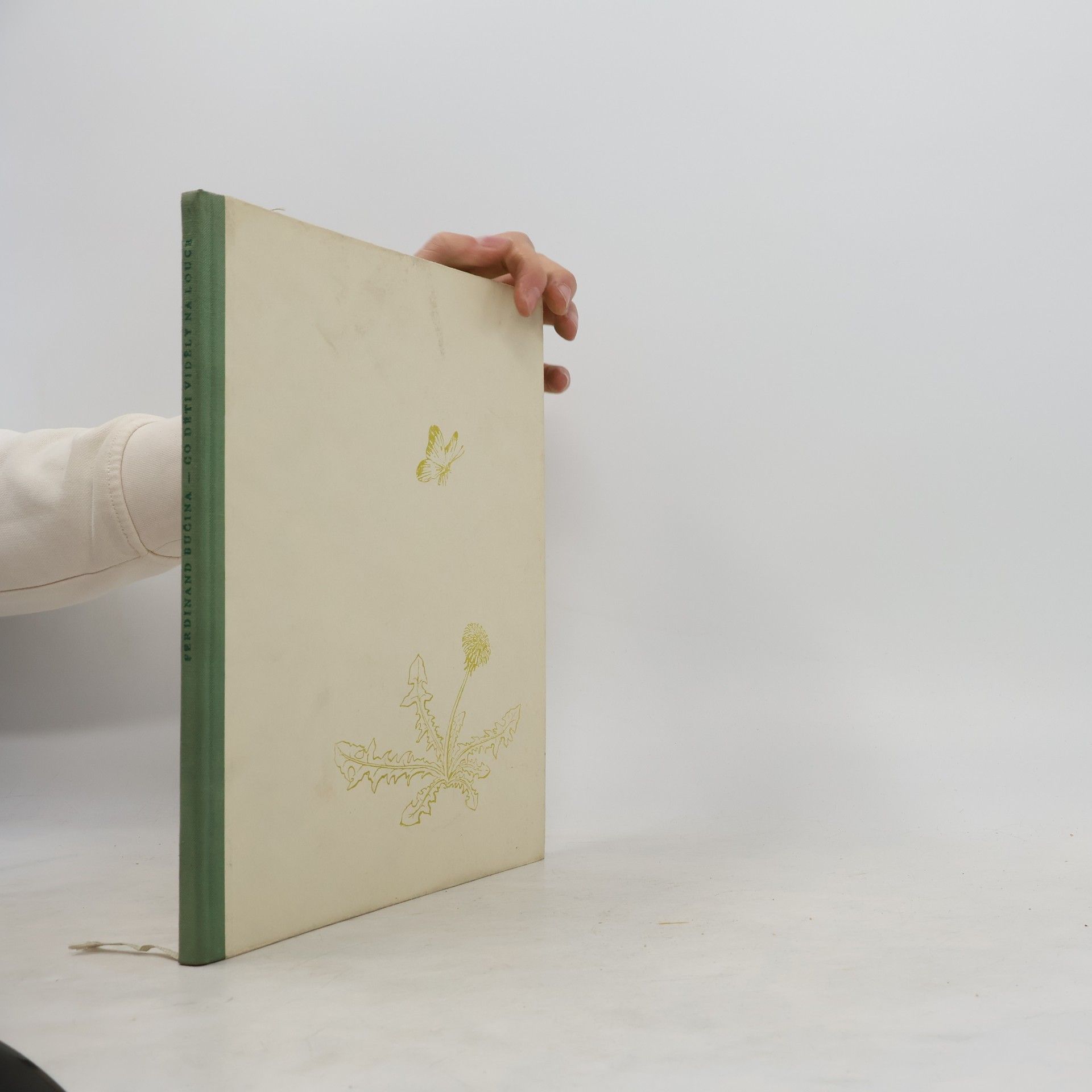 Co děti viděly na louce