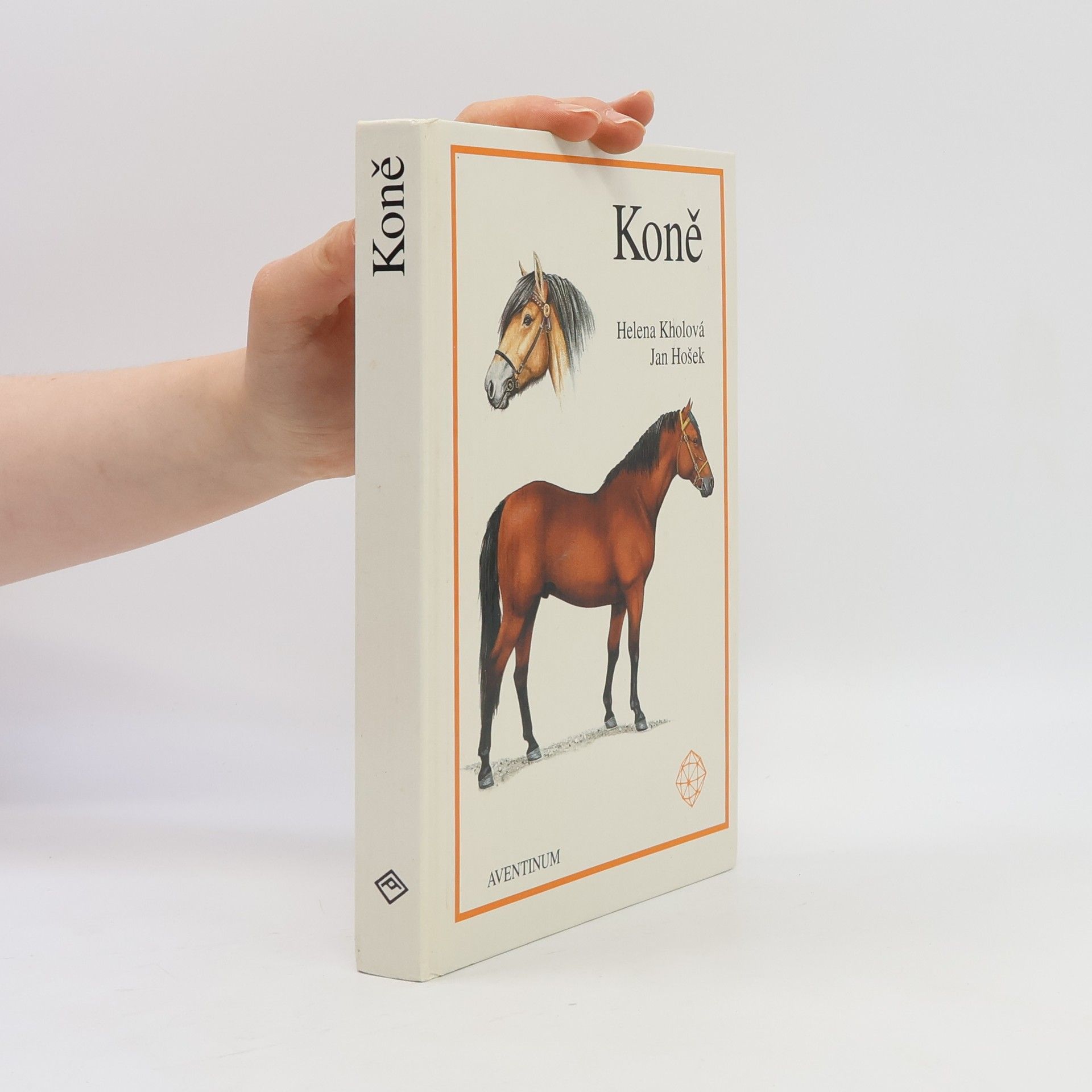 Helena Kholová Koně