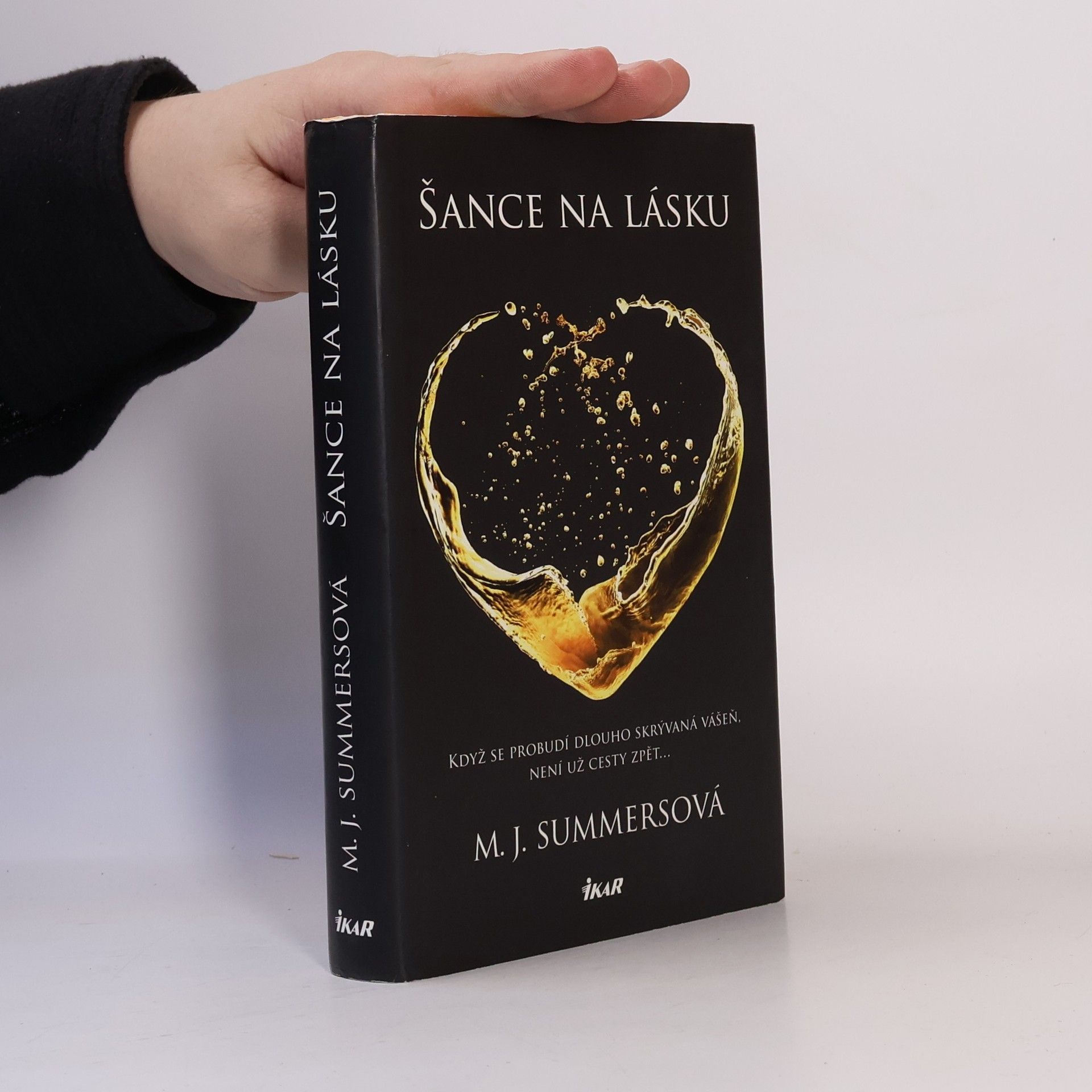 M. J. Summers Šance na lásku