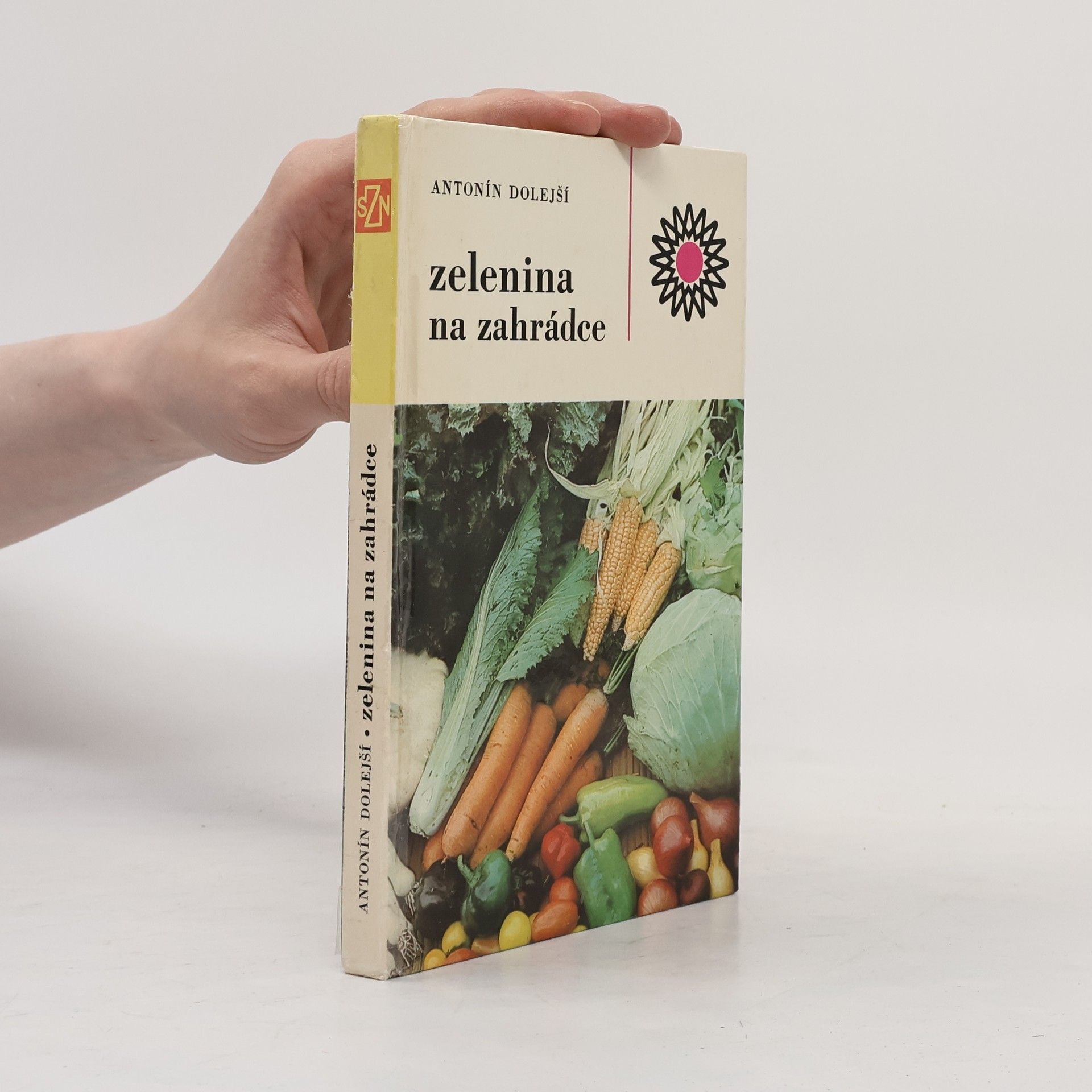 Antonín Dolejší Zelenina na zahrádce