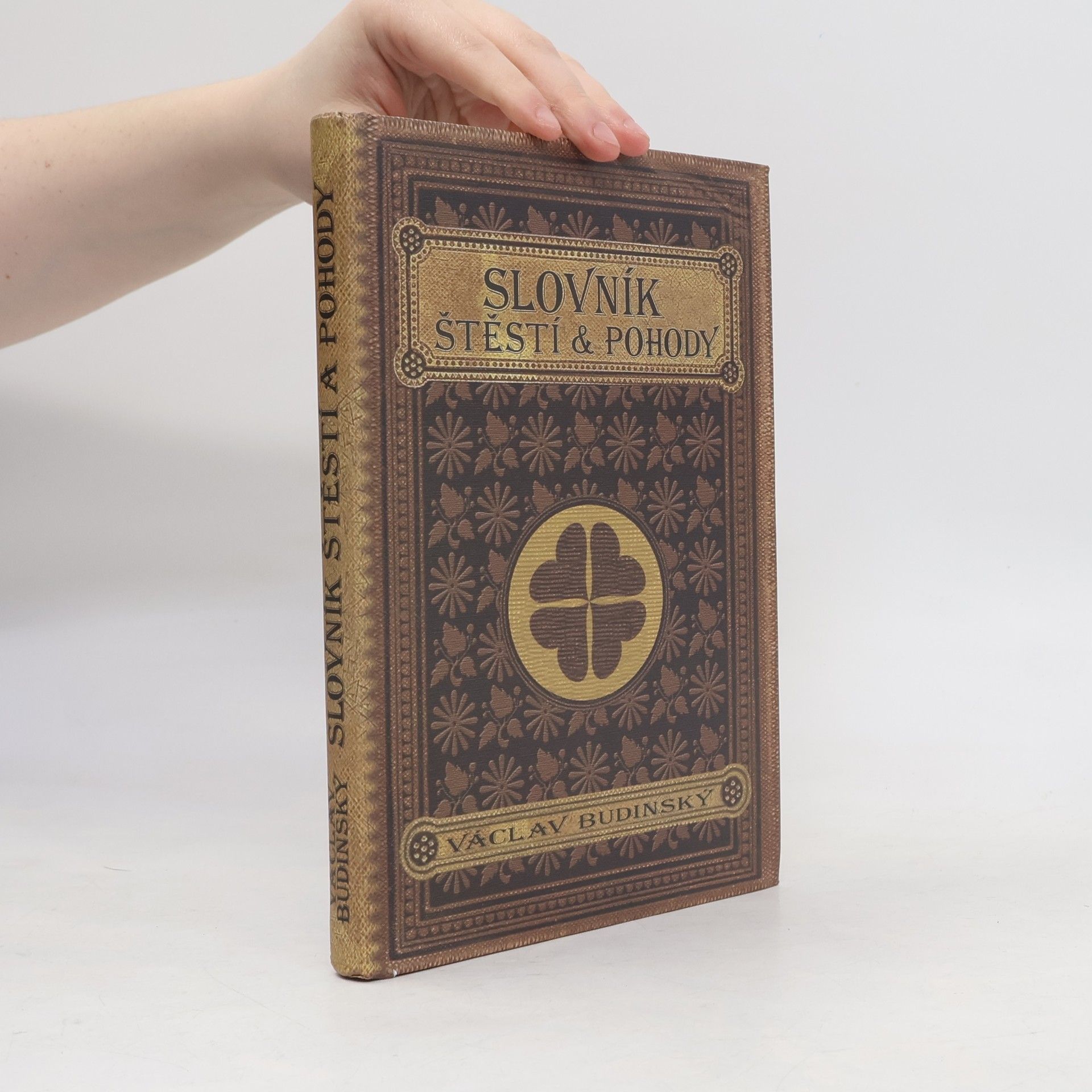 Václav Budinský Slovník štěstí & pohody
