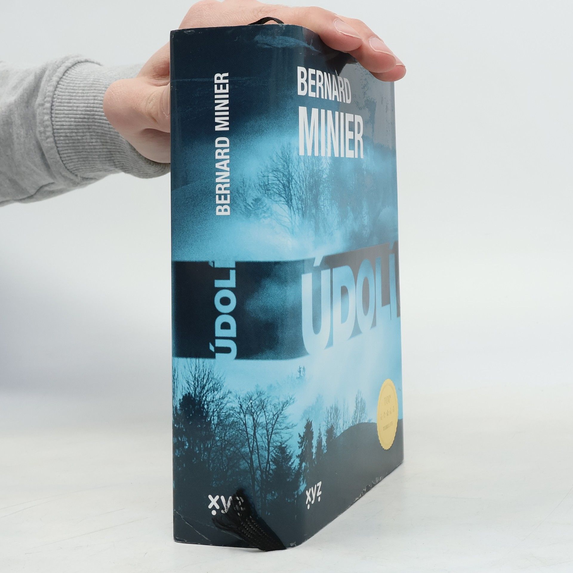 Bernard Minier Údolí