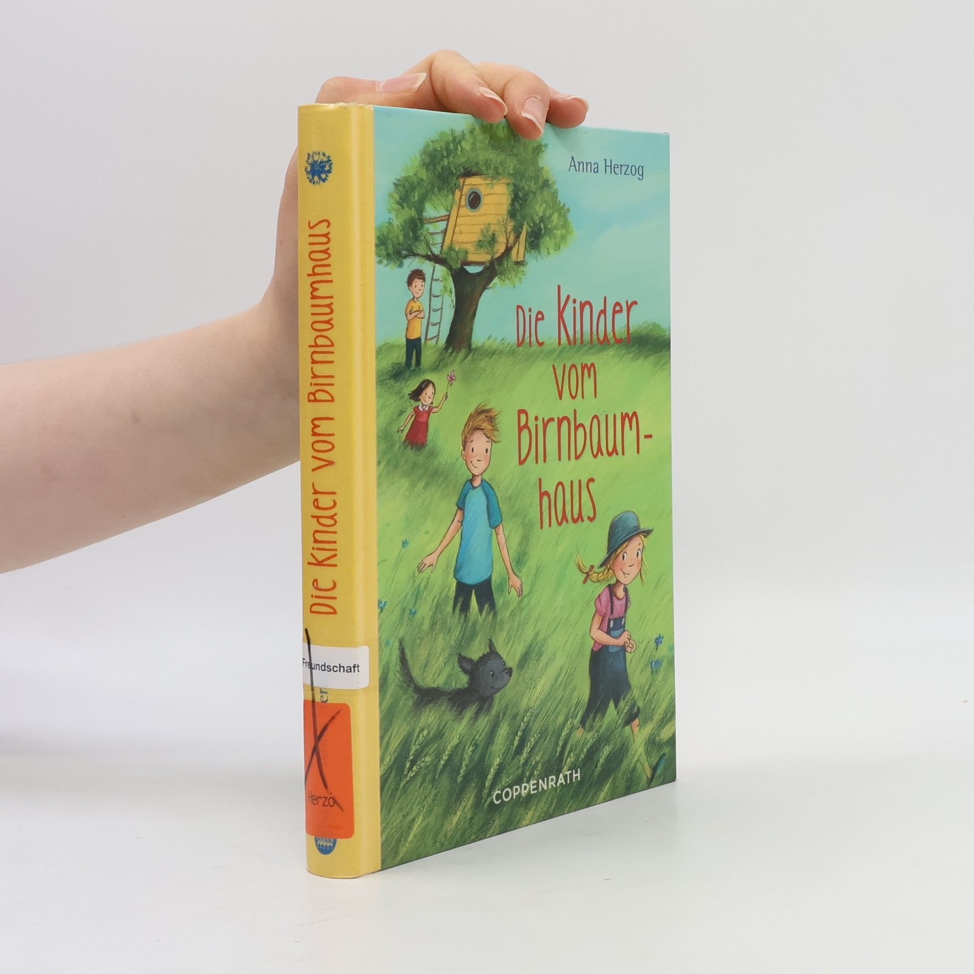 Anna Herzog Die Kinder vom Birnbaumhaus