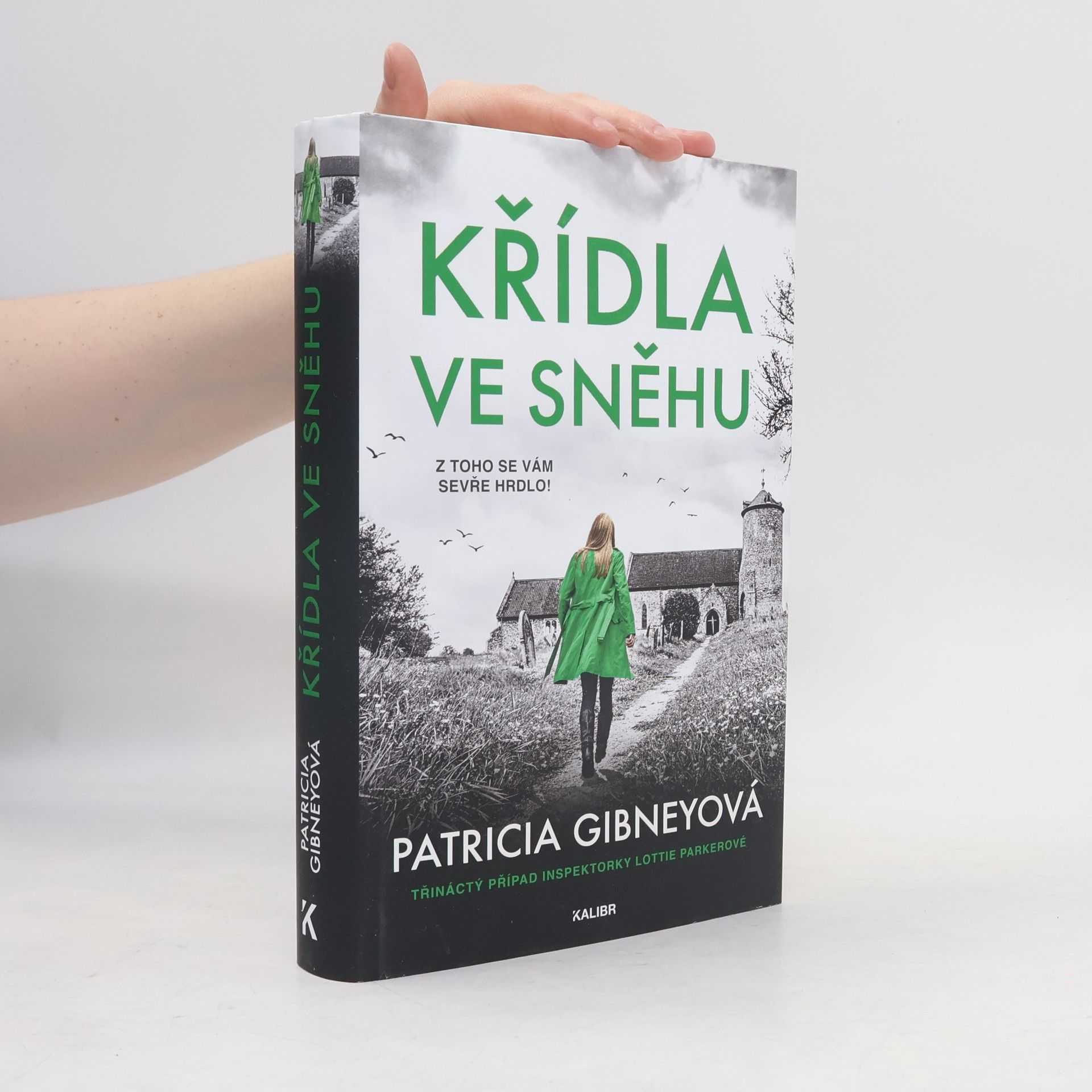 Patricia Gibney Křídla ve sněhu