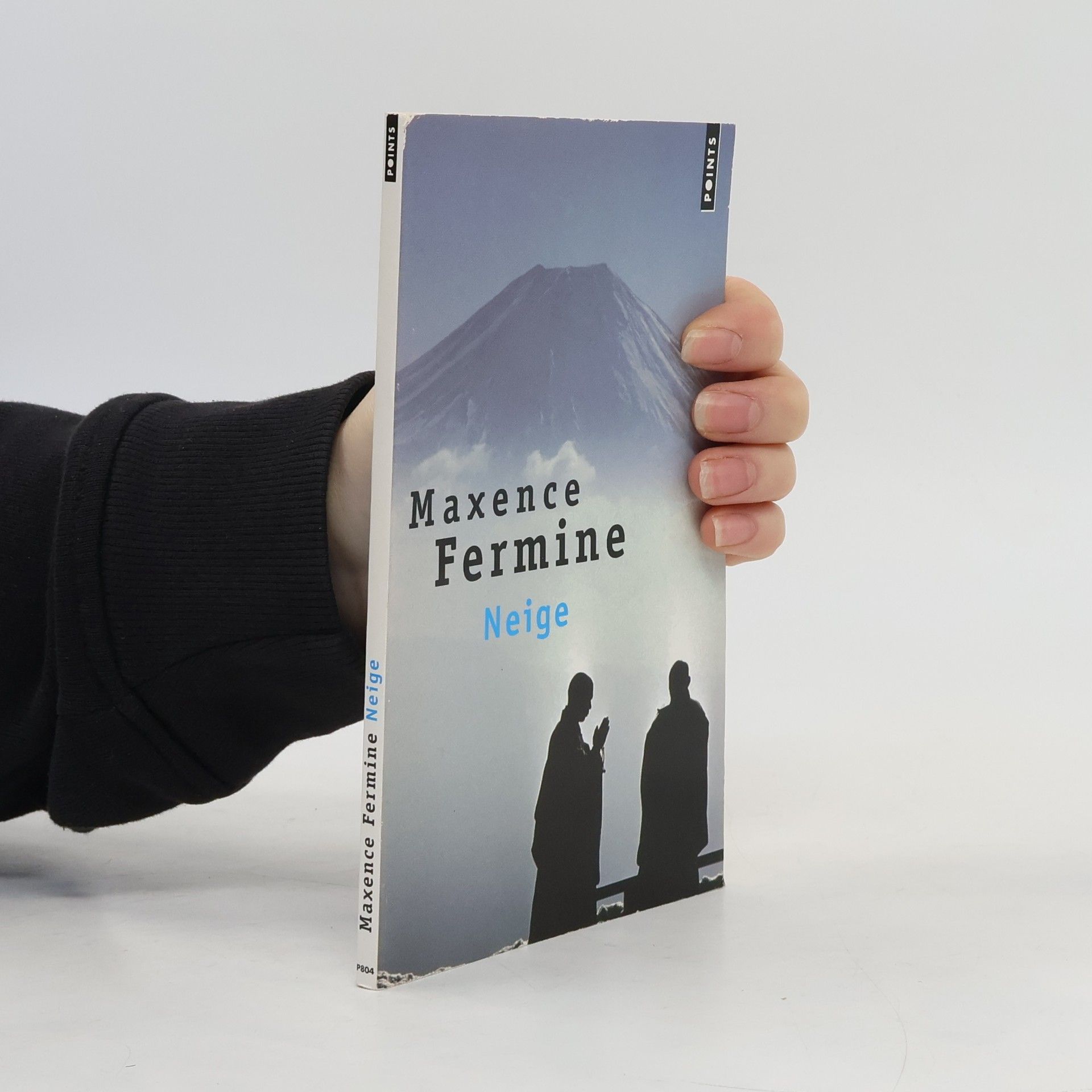 Maxence Fermine Neige