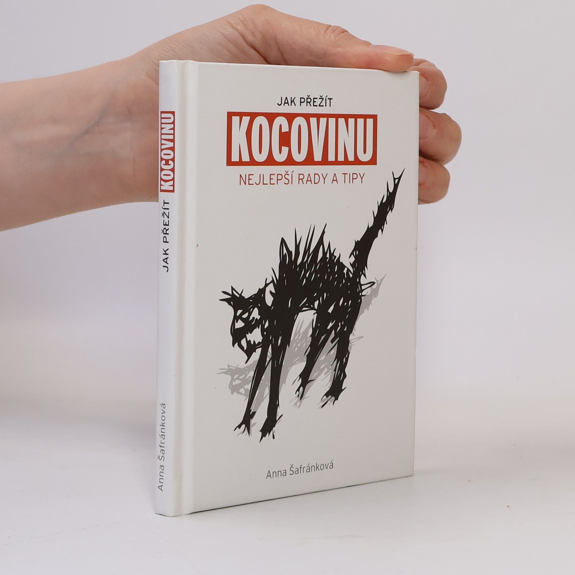 Anna Šafránková Jak přežít kocovinu: Nejlepší rady a tipy