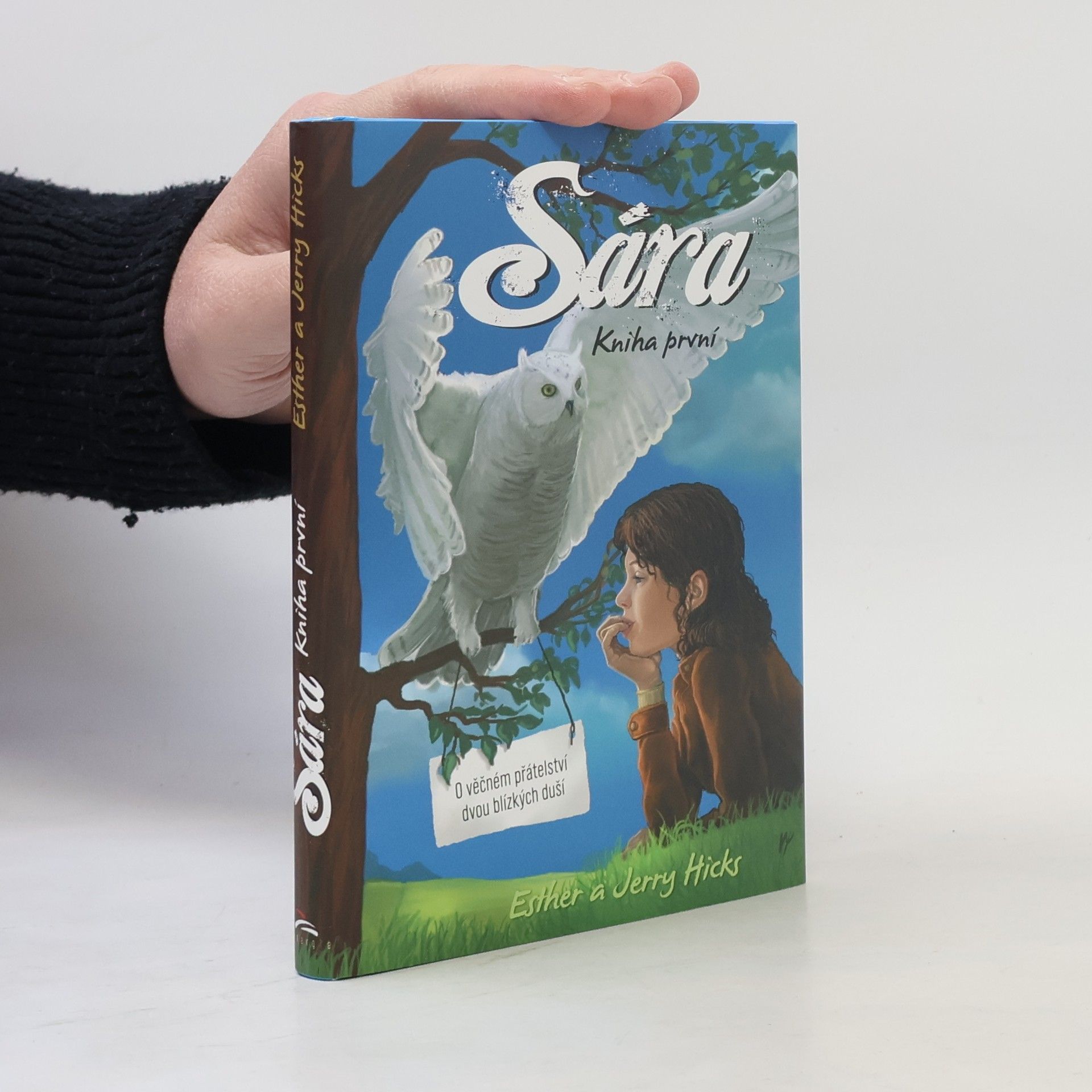 Esther Hicks Sára. Kniha první, O věčném přátelství dvou blízkých duší