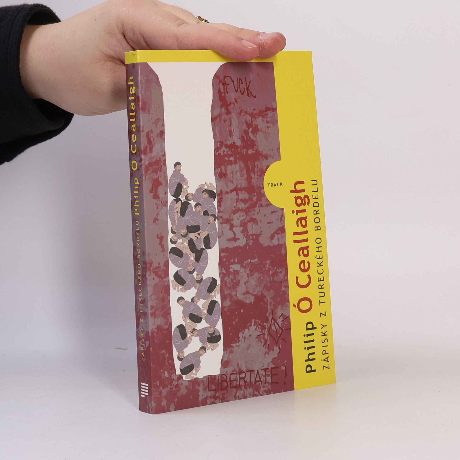 Philip Ó. Ceallaigh Zápisky z tureckého bordelu