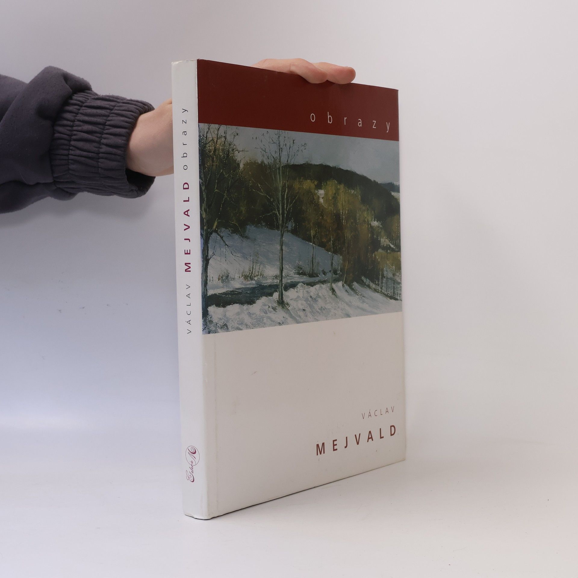 Václav Mejvald Obrazy