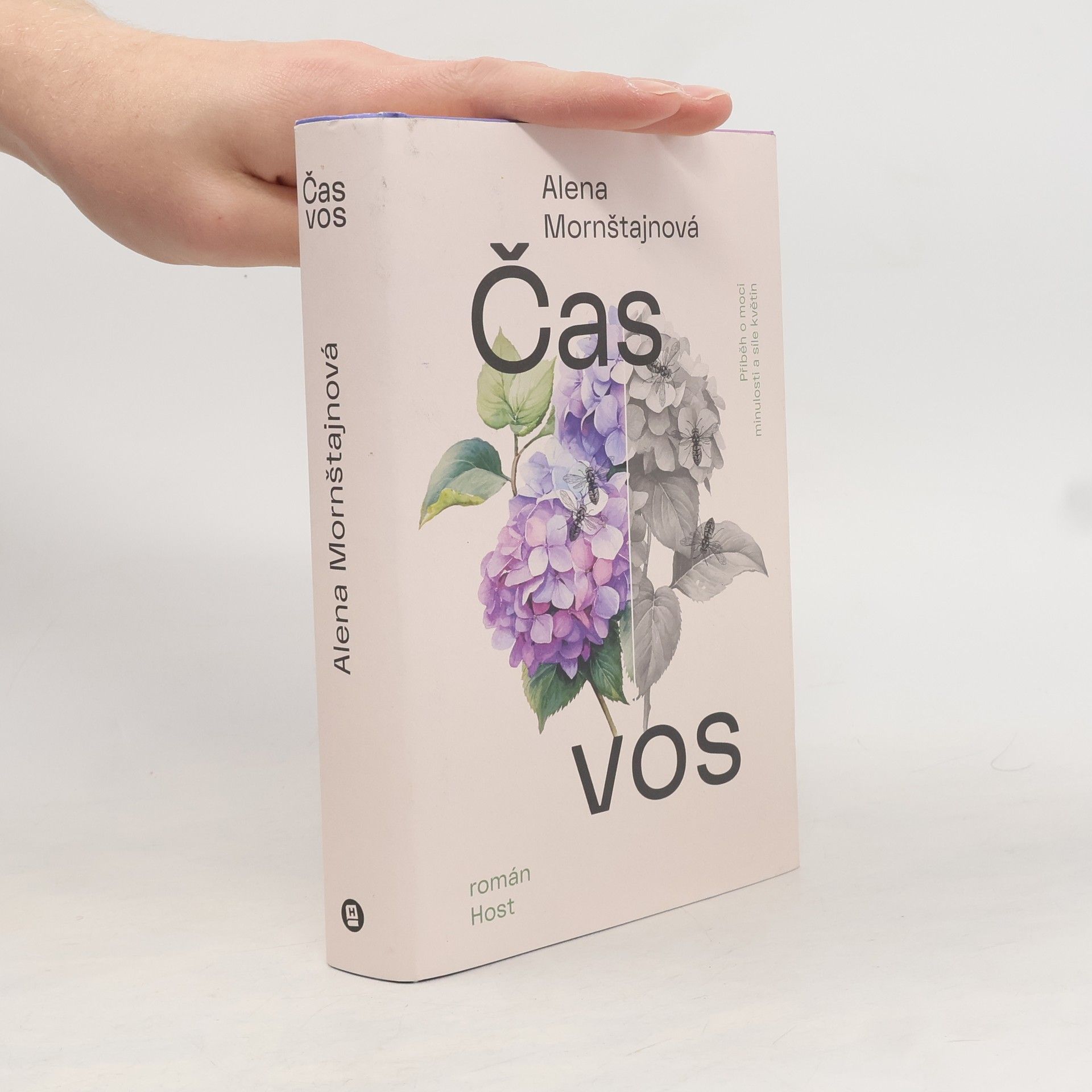 Alena Mornštajnová Čas vos