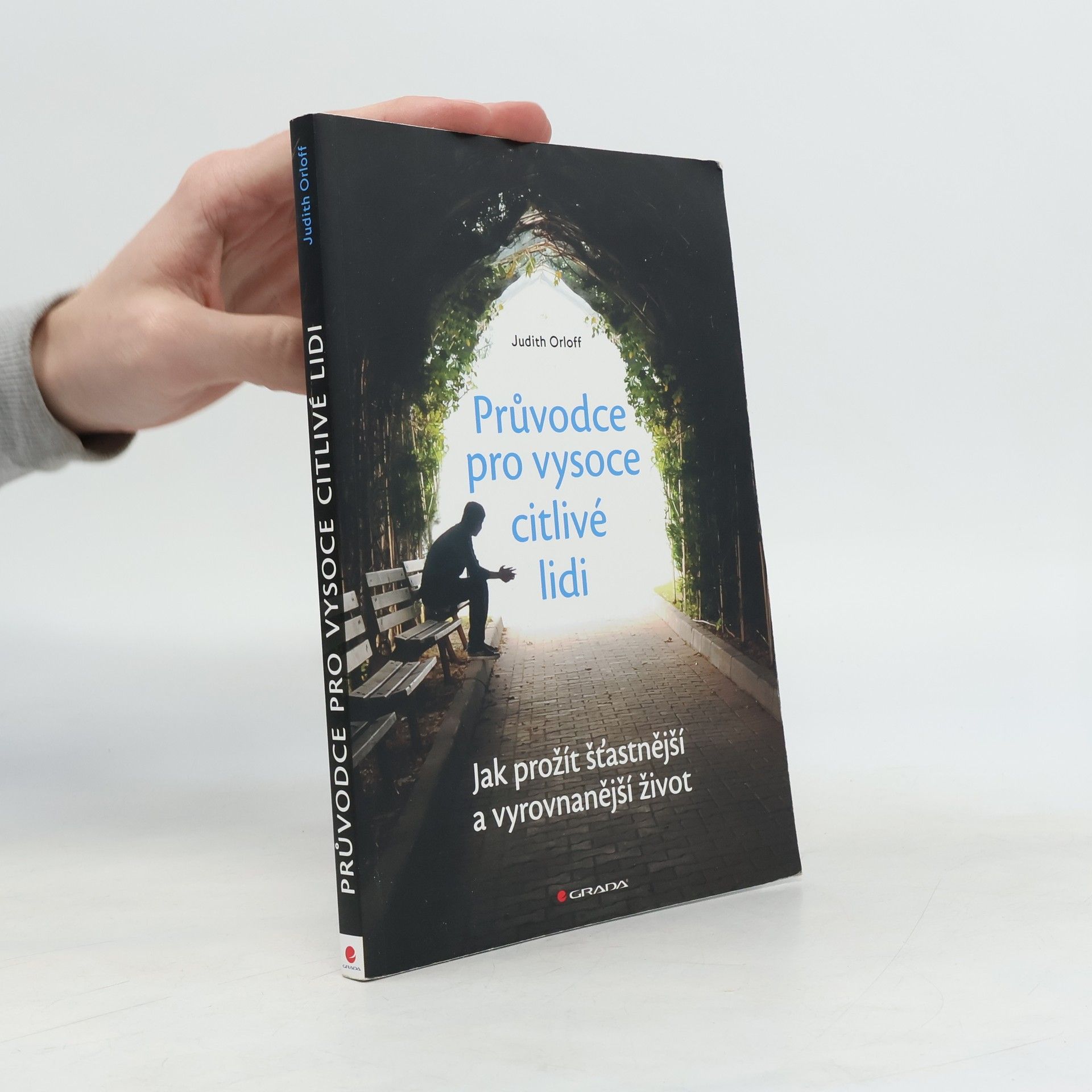 Průvodce pro vysoce citlivé lidi. Jak prožít šťastnější a vyrovnanější život