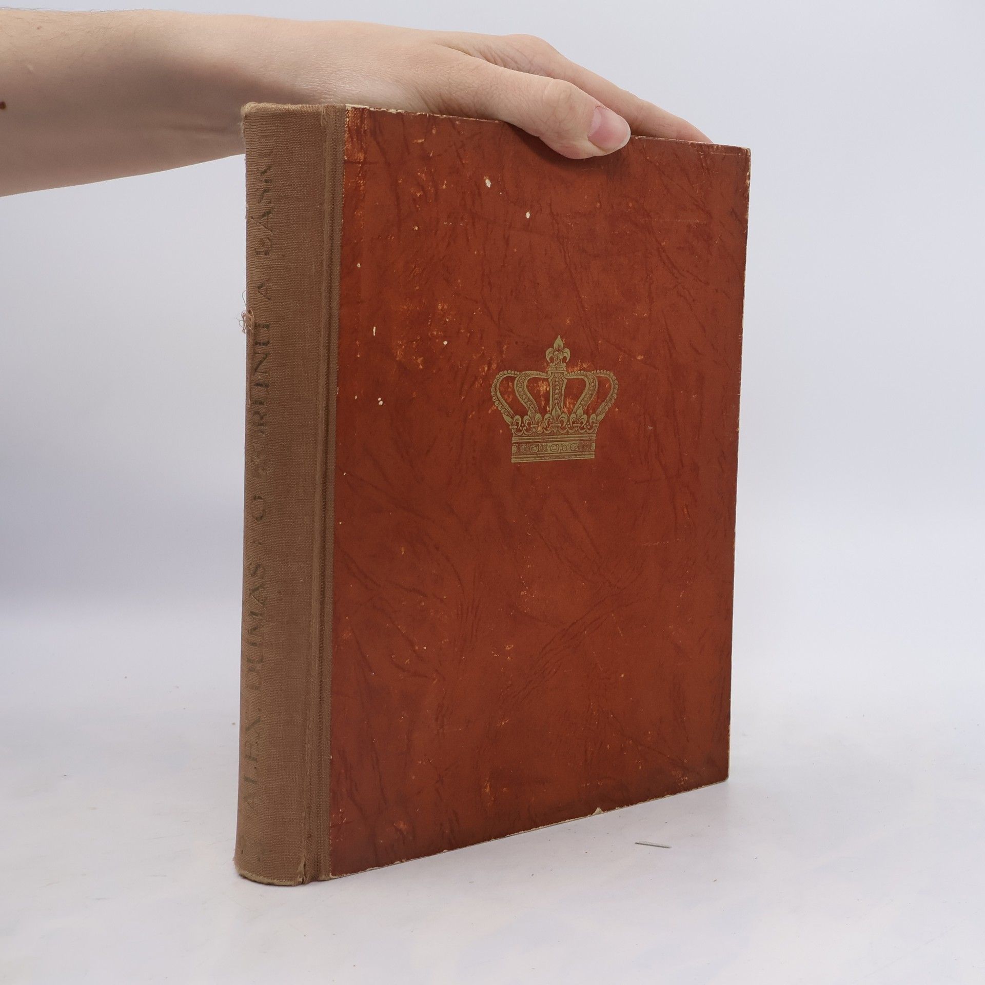 Alexandre Dumas der Ältere O korunu a lásku