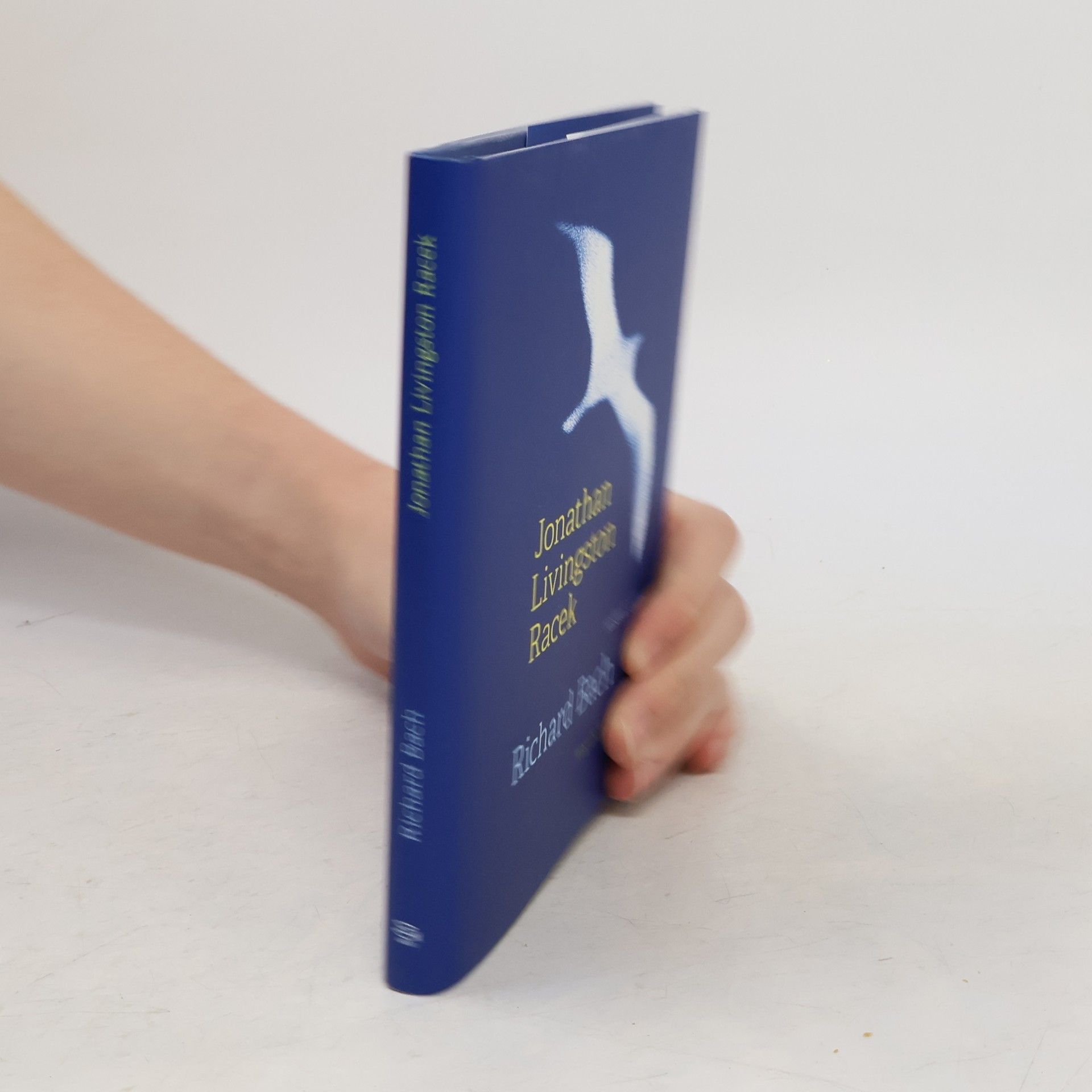 Richard Bach Jonathan Livingston Racek