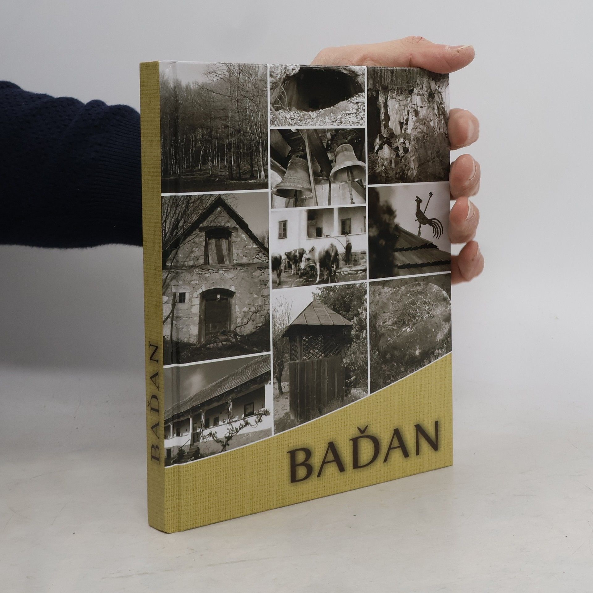 Kolektiv autorů Baďan