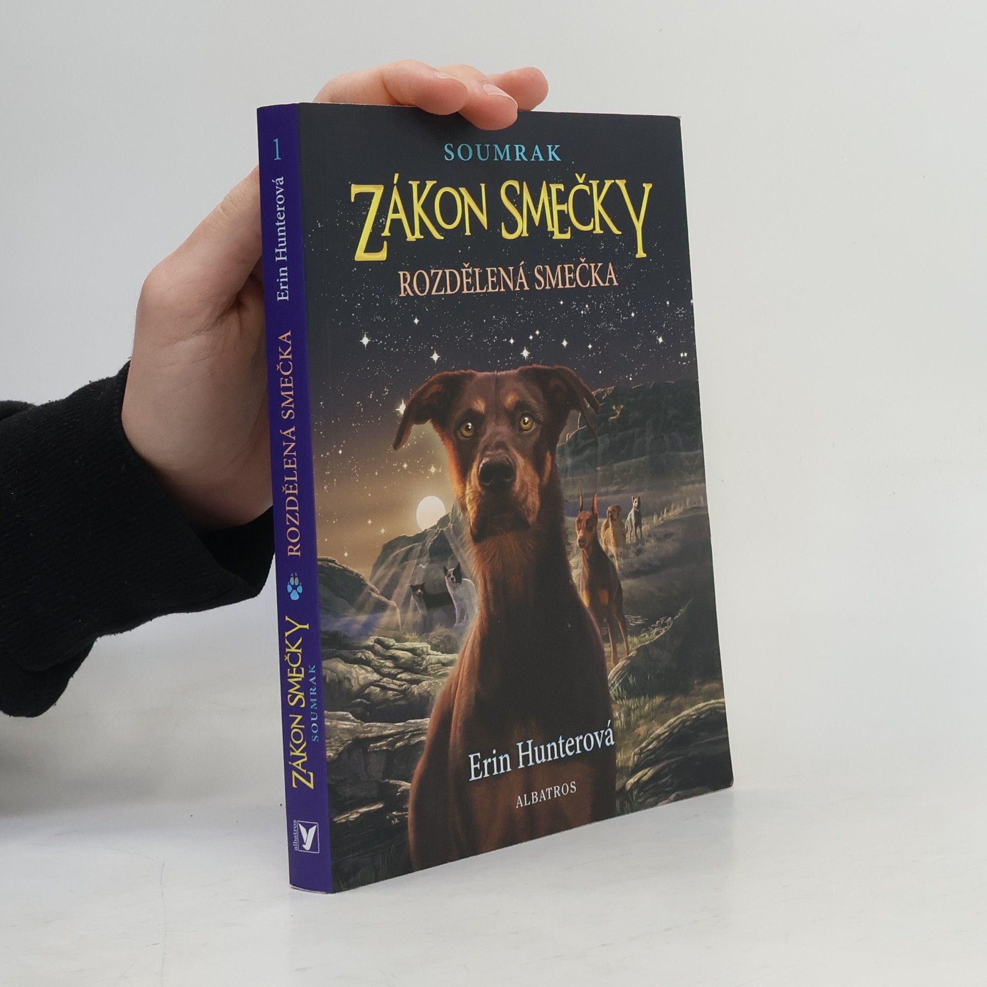 Erin Hunter Rozdělená smečka