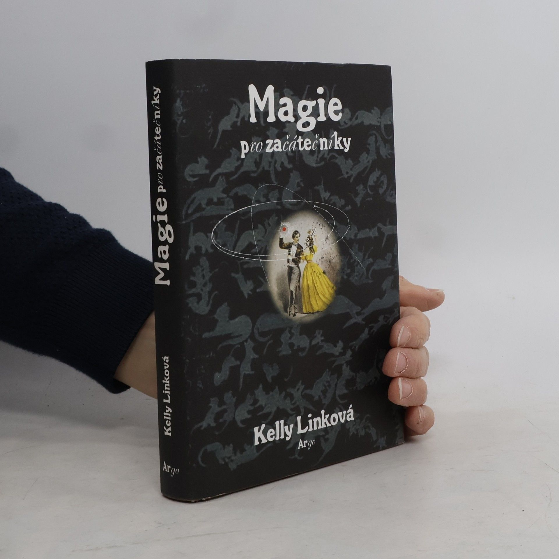 Kelly Link Magie pro začátečníky
