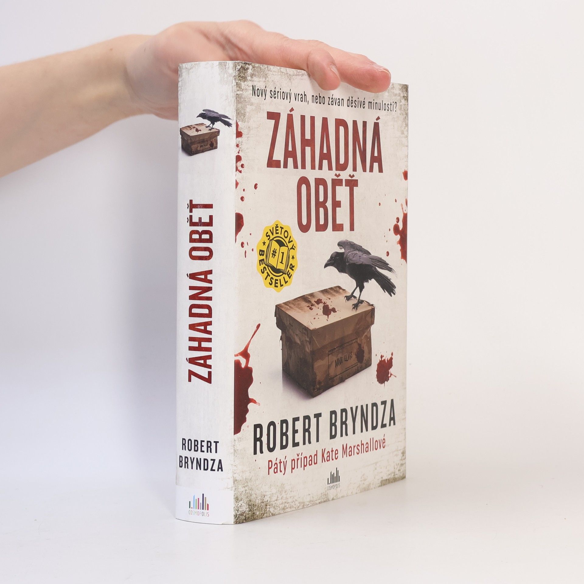 Robert Bryndza Záhadná oběť