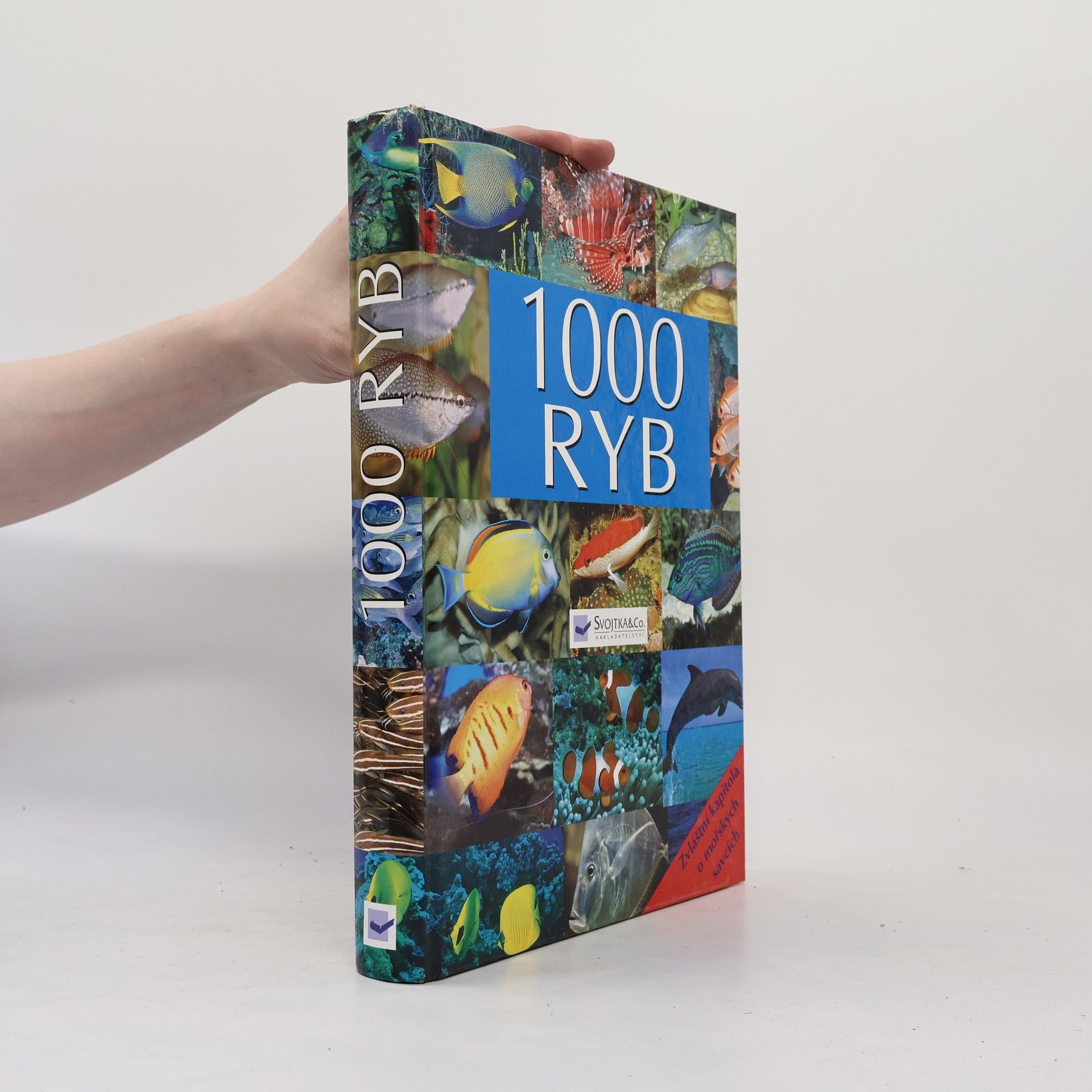 Kolektiv autorů 1000 ryb