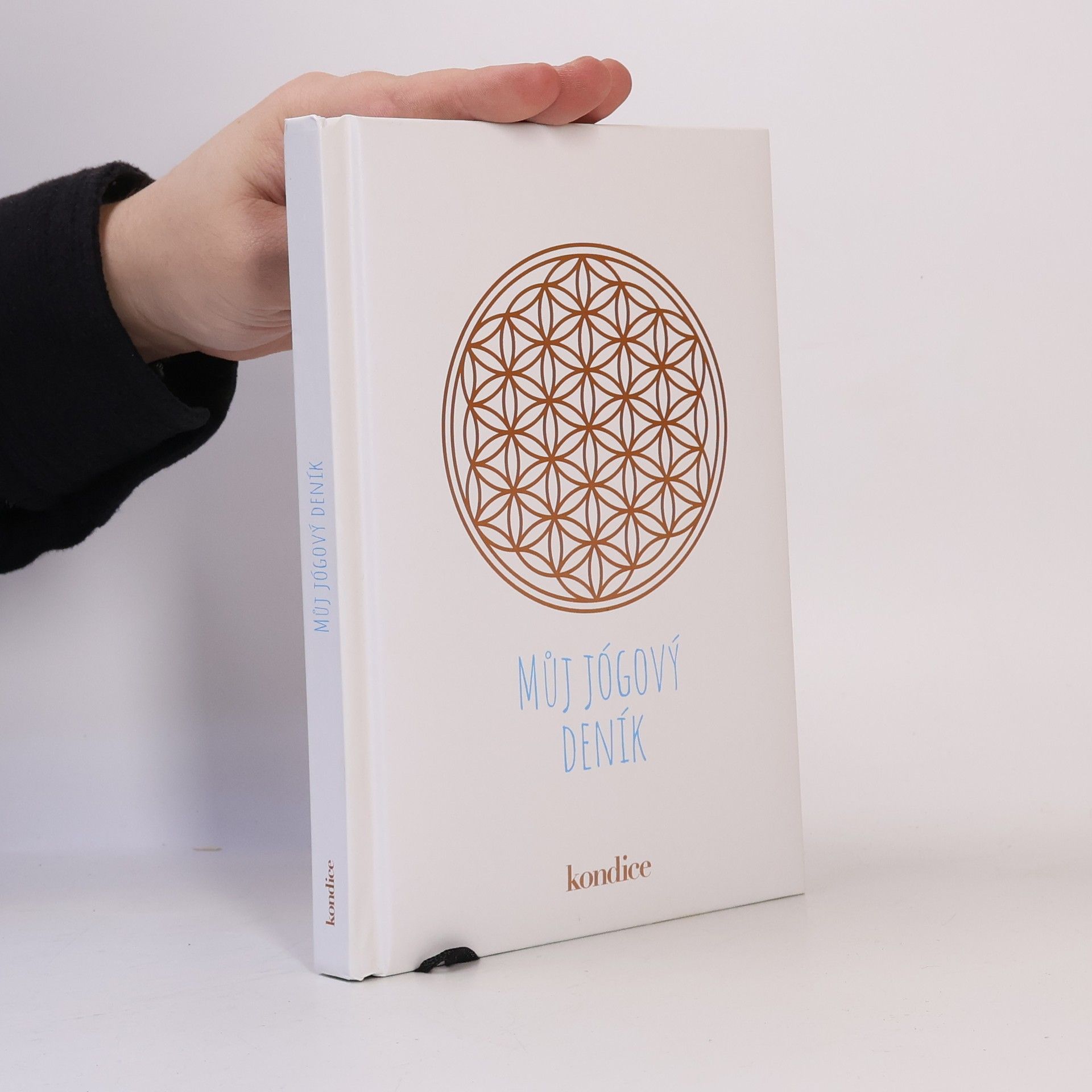 Autorenkollektiv Můj jógový deník