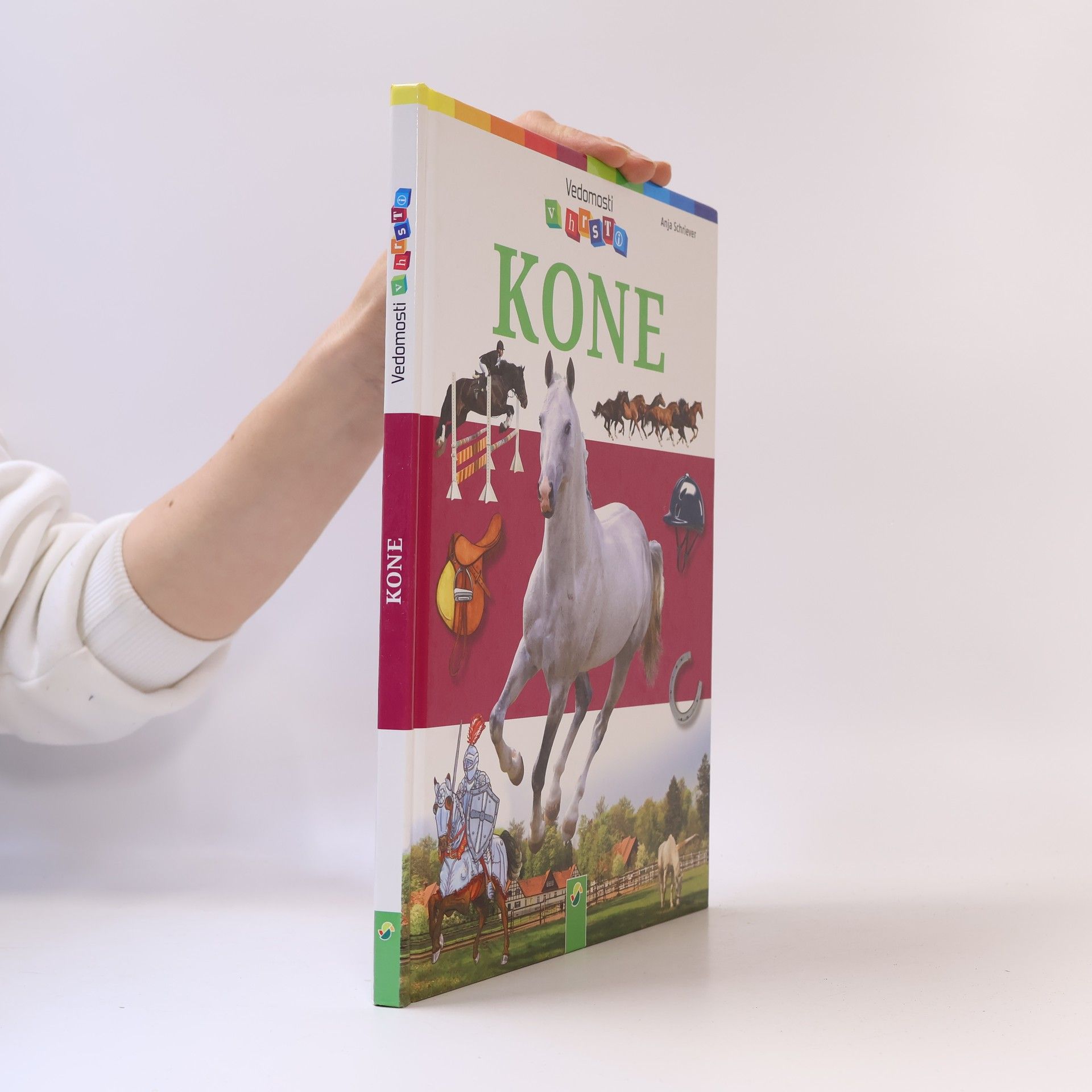 Anja Schriever Kone
