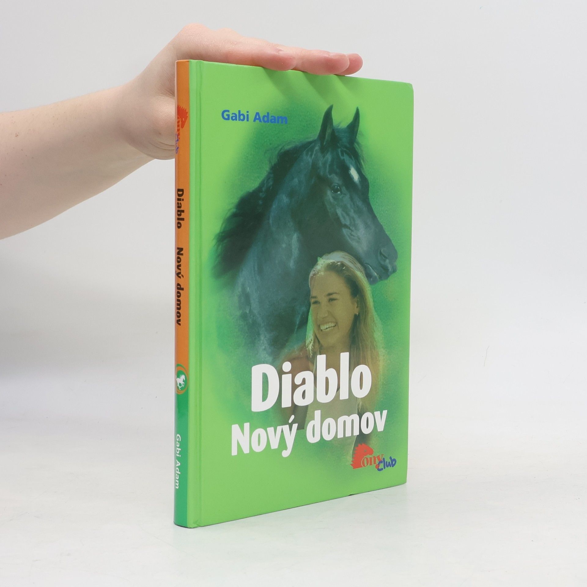 Gabi Adam Nový domov. Diablo 3