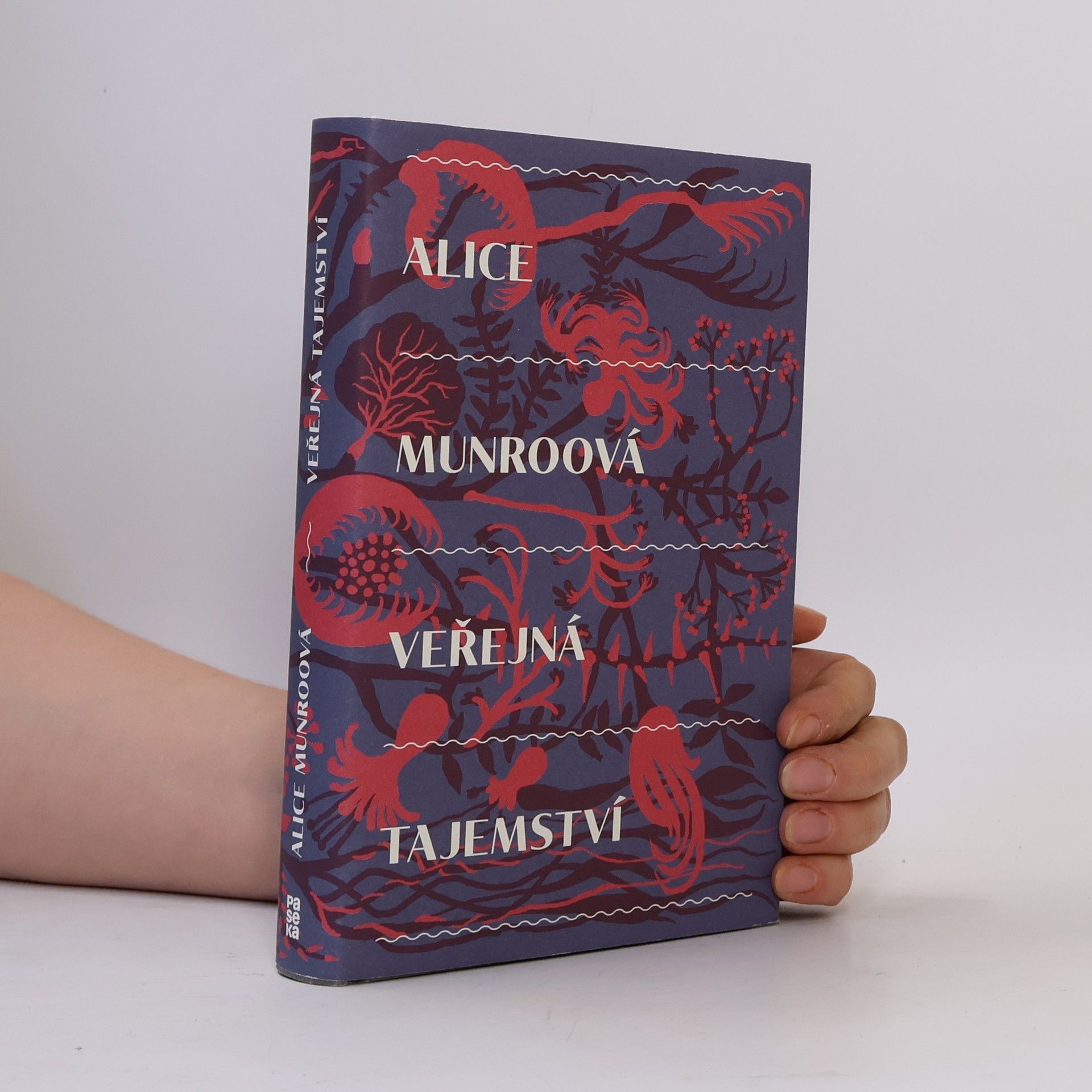 Alice Munro Veřejná tajemství