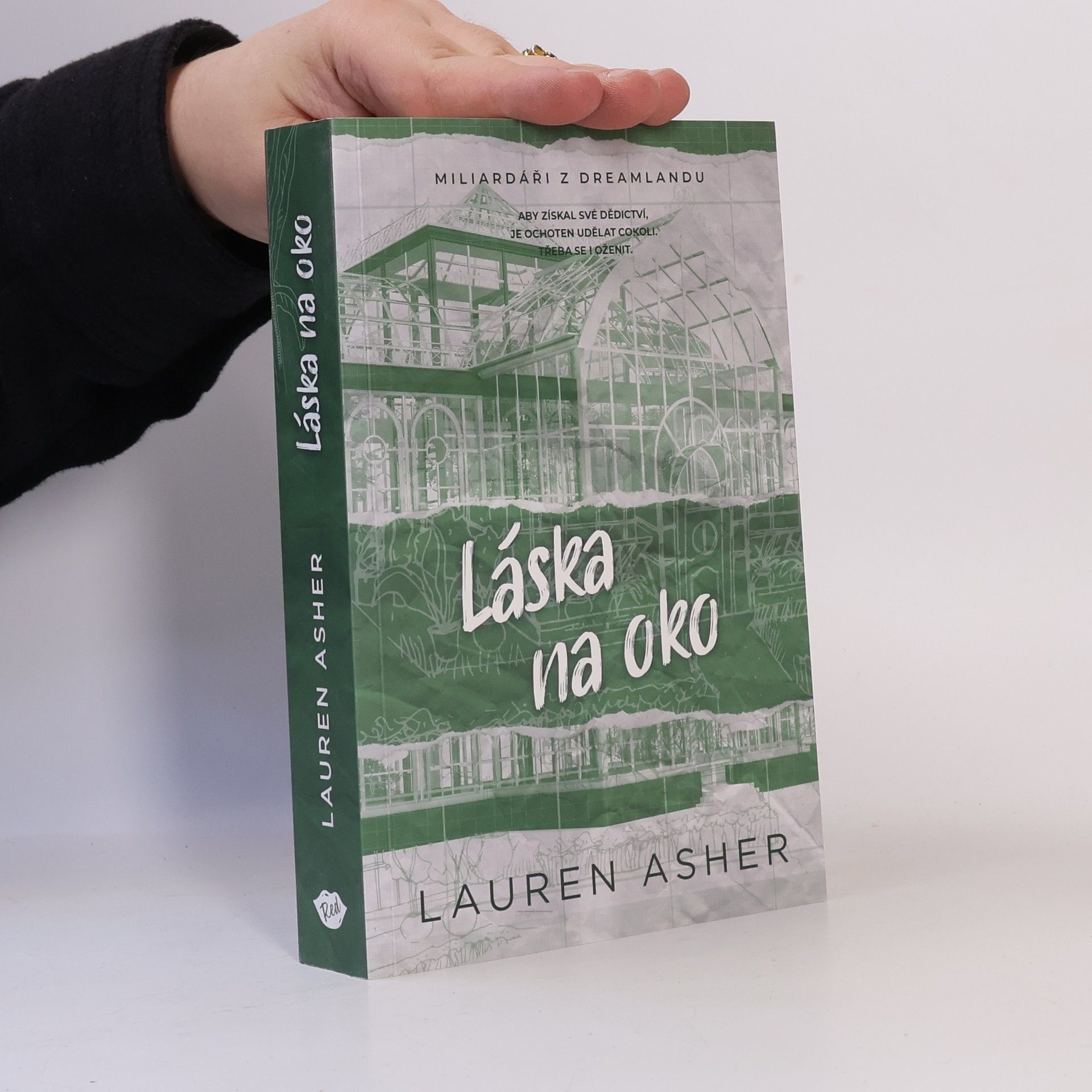 Lauren Asher Láska na oko