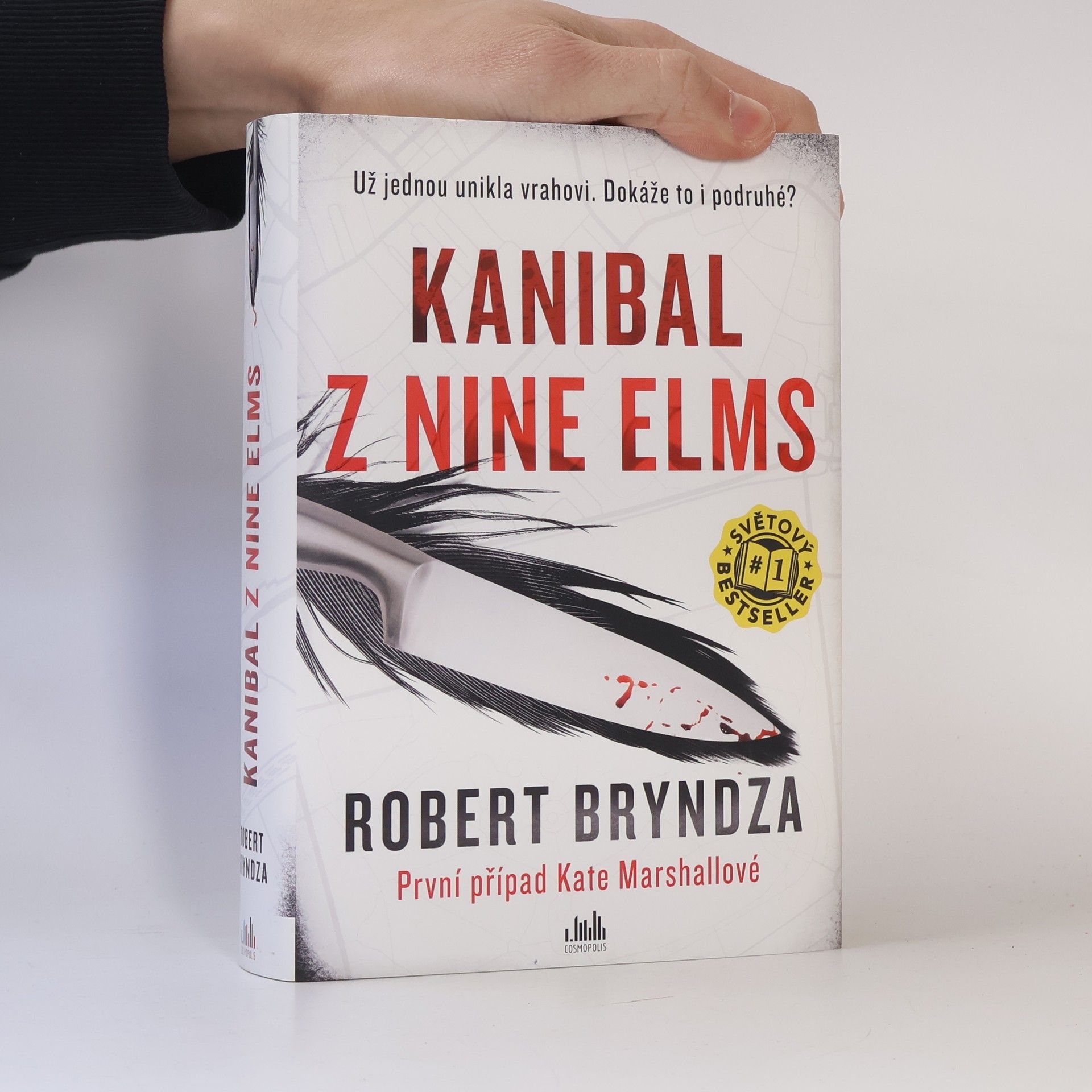 Robert Bryndza Kanibal z Nine Elms