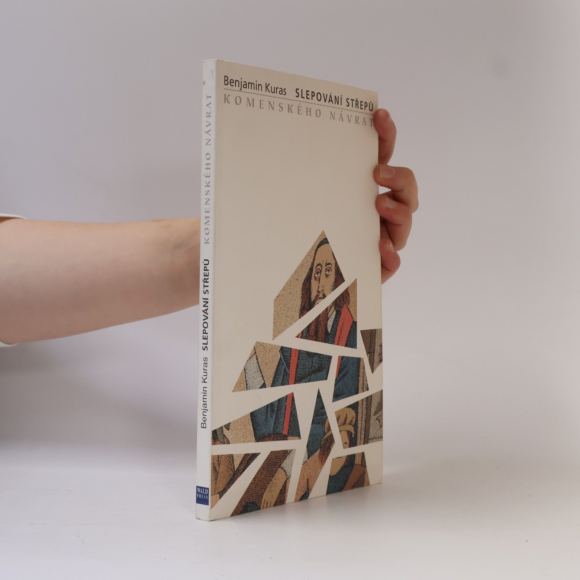 Slepování střepů : Komenského návrat