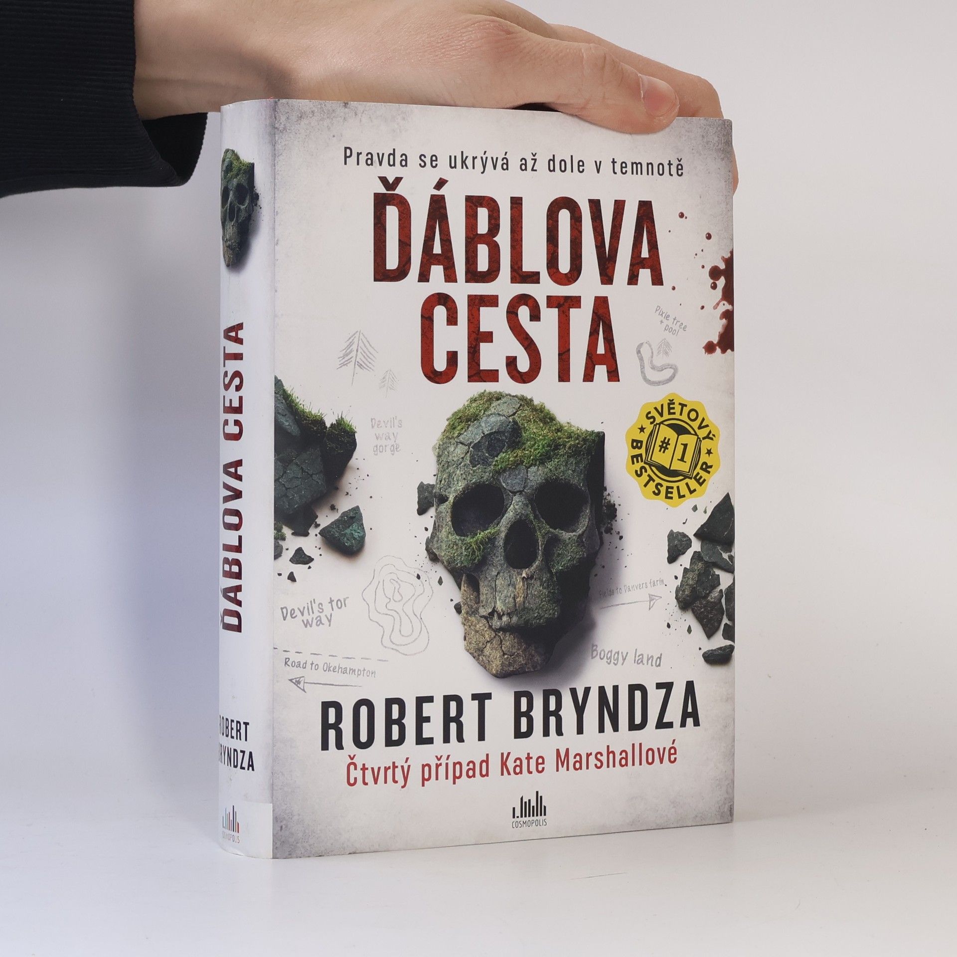 Robert Bryndza Ďáblova cesta