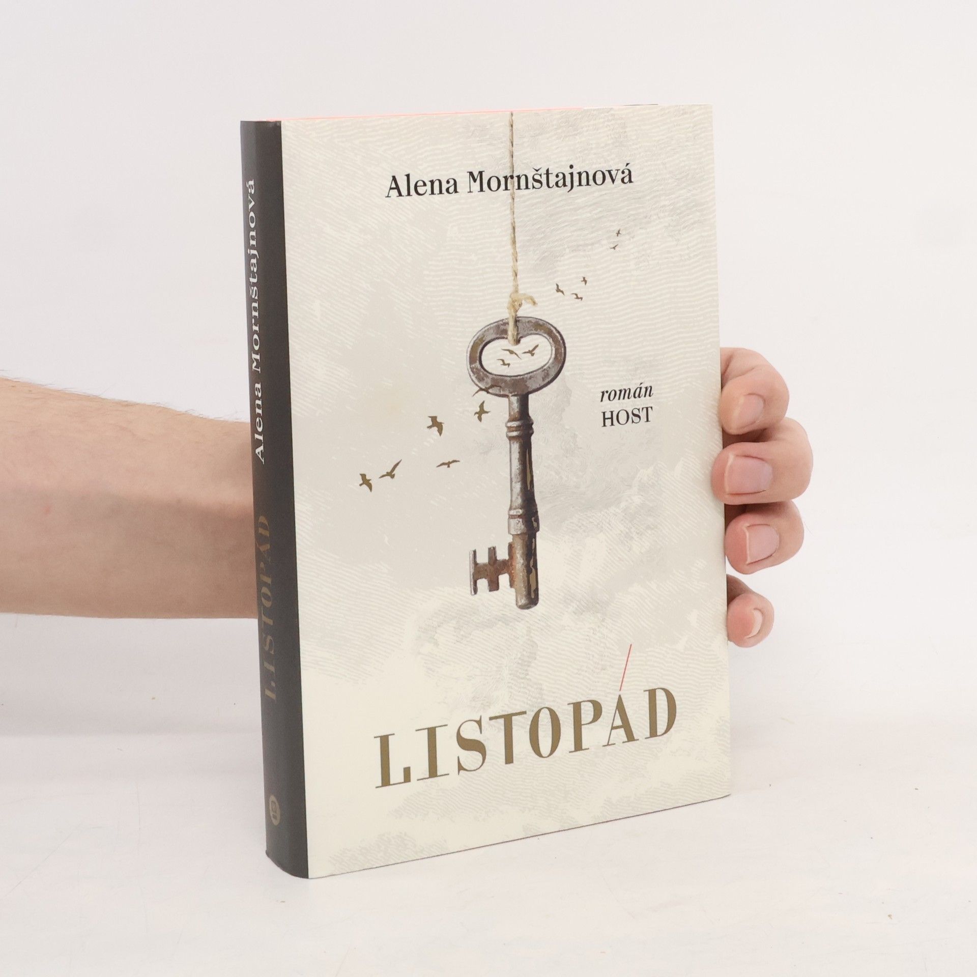 Alena Mornštajnová Listopád