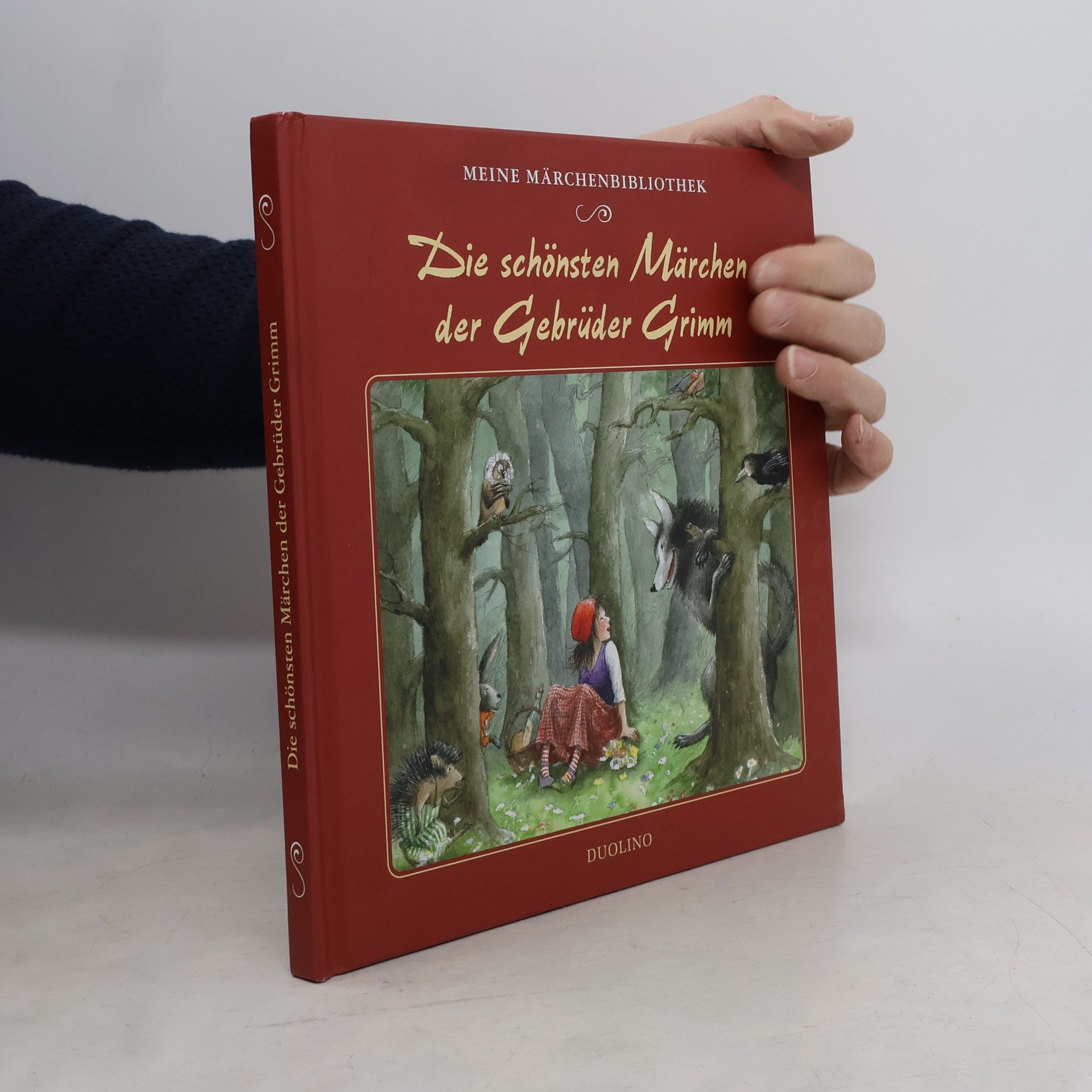 bratři Grimmové Die schönsten Märchen der Gebrüder Grimm