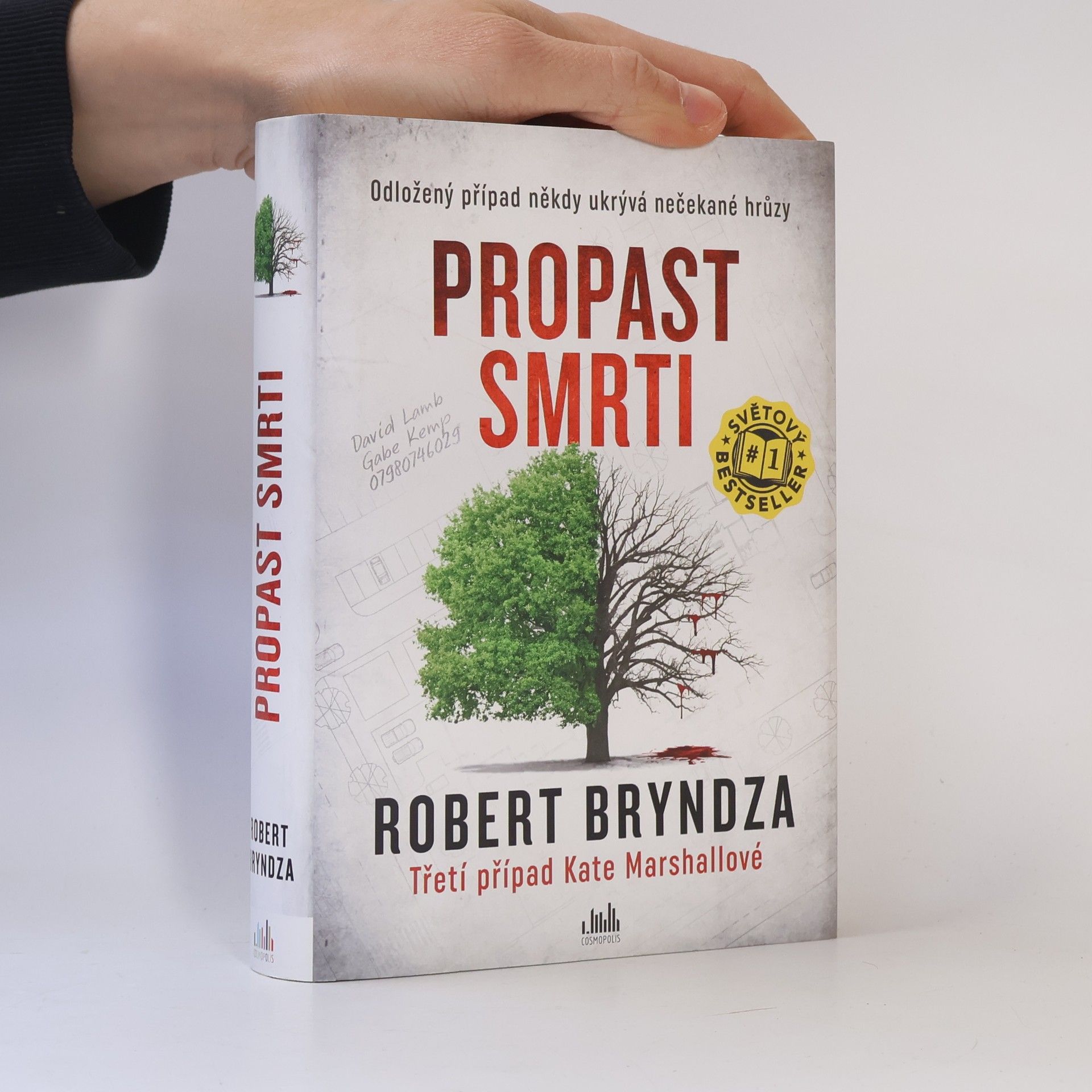 Robert Bryndza Propast smrti