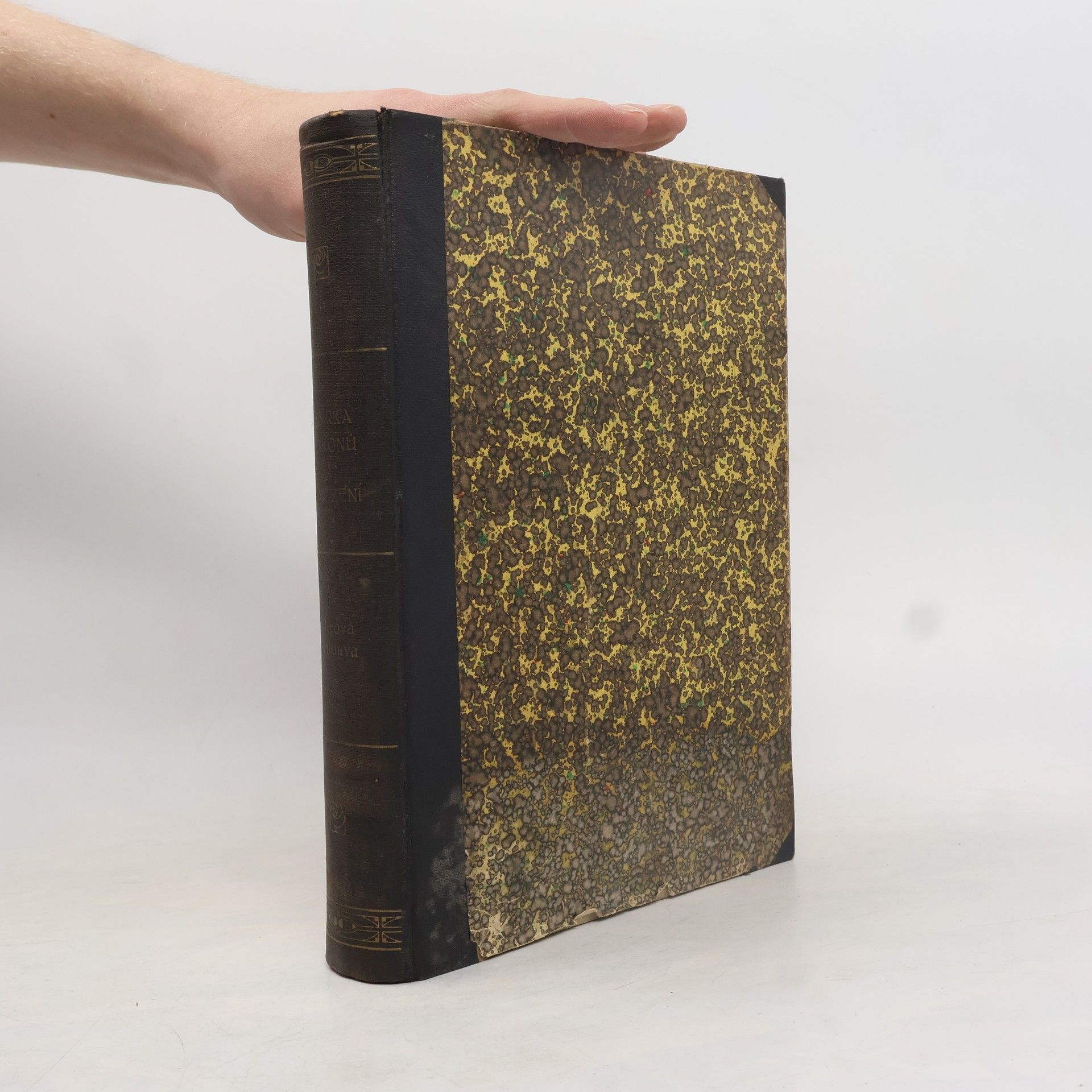 Kolektiv autorů Sbírka zákonů a nařízení státu československého : Ročník 1921. Mírová smlouva