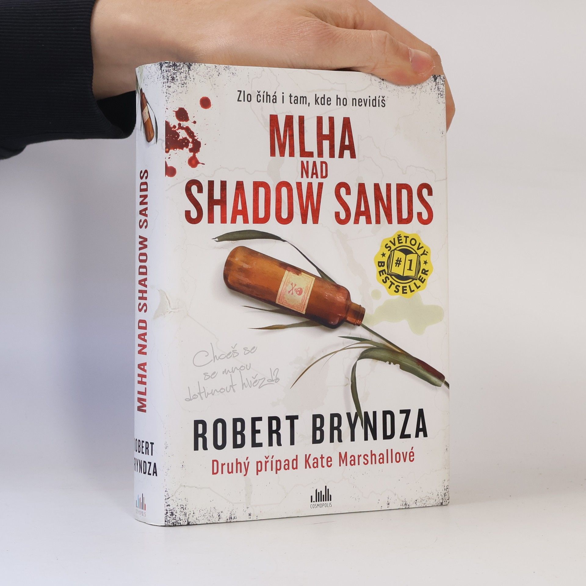 Robert Bryndza Mlha nad Shadow Sands